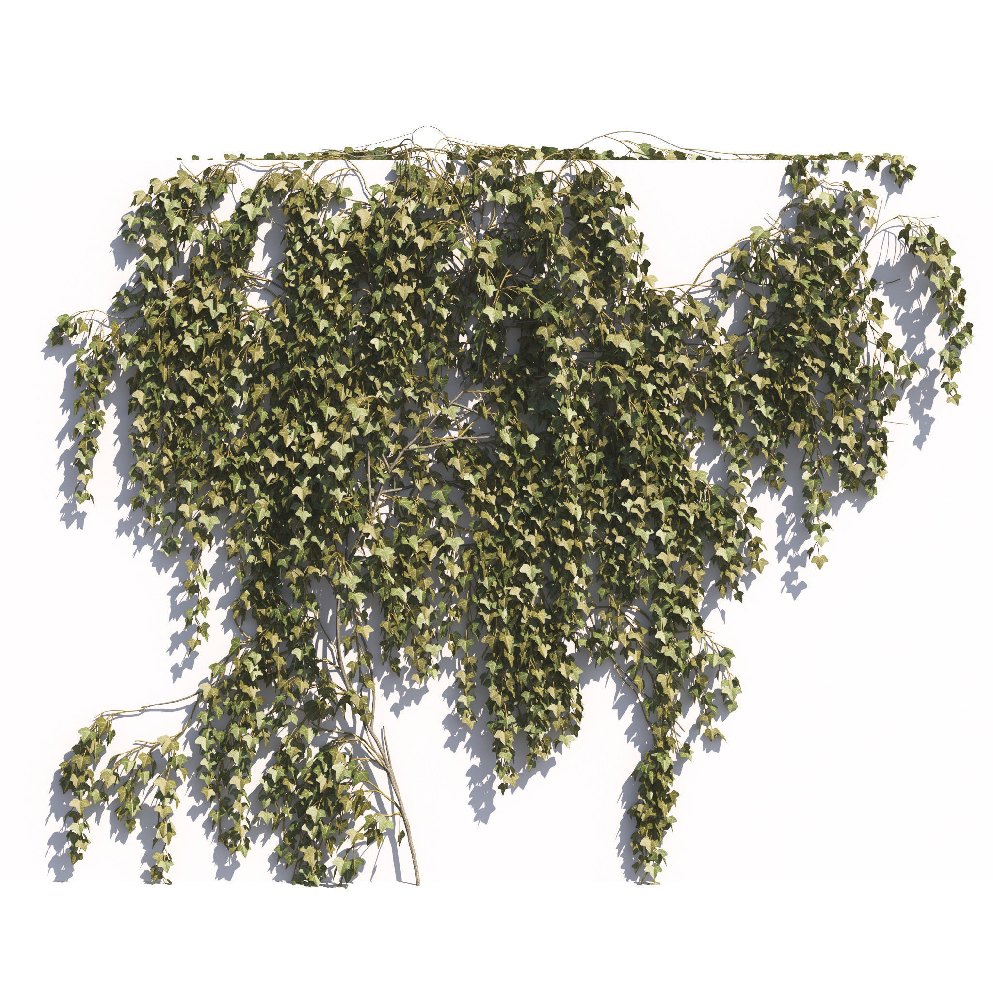 Archmodels vol 275 for c4d - garden plants 3D model_36