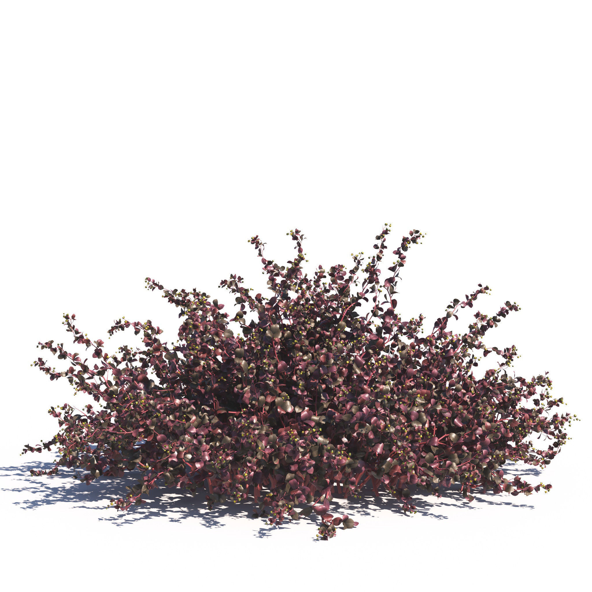 Archmodels vol 275 for c4d - garden plants 3D model_18