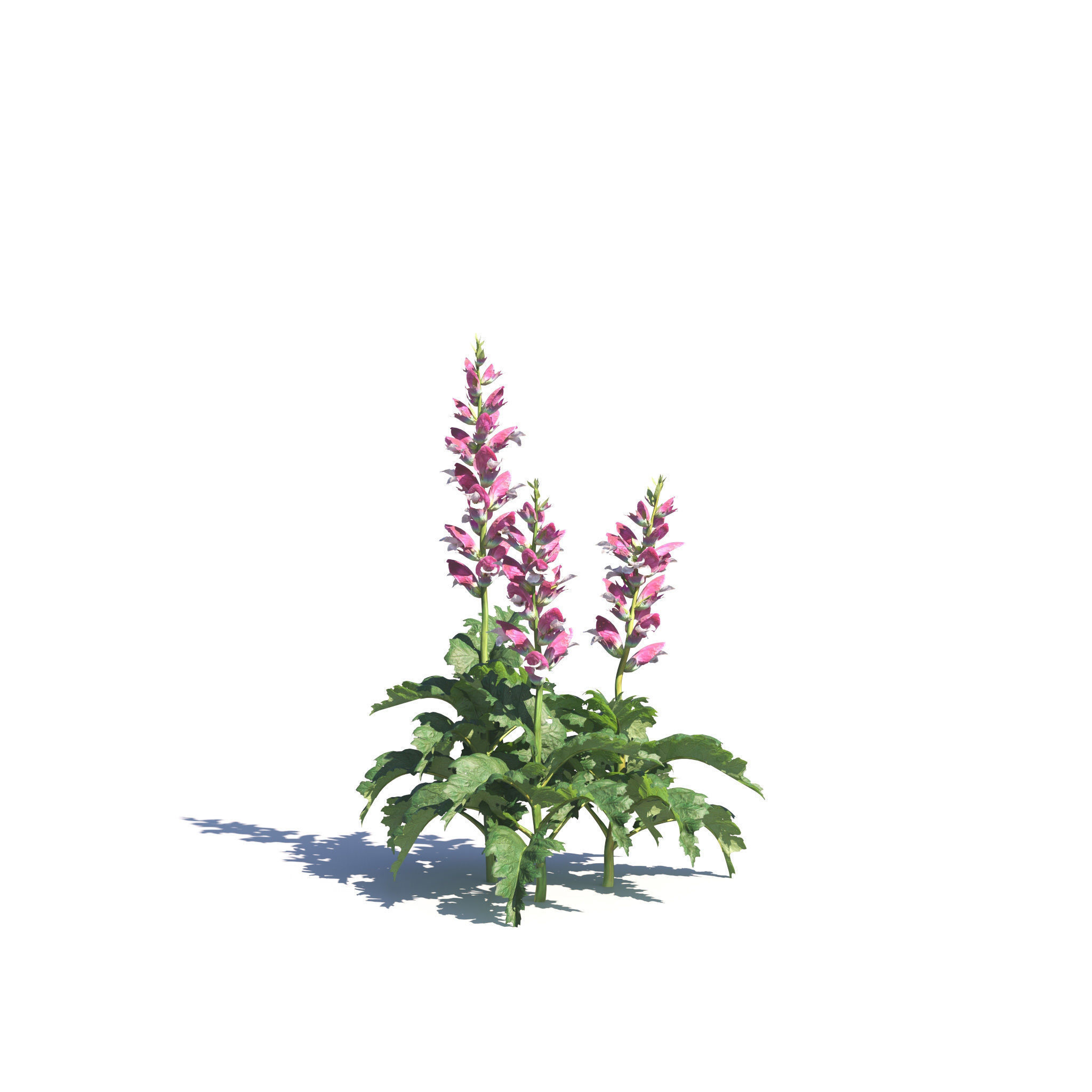 Archmodels vol 275 for c4d - garden plants 3D model_3