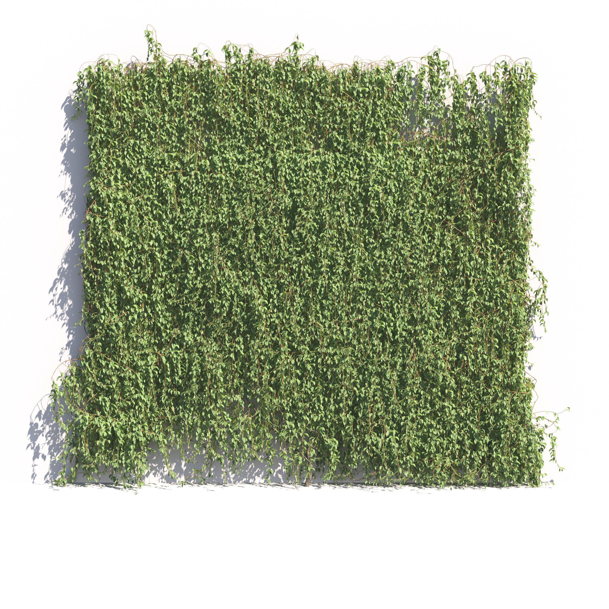 Archmodels vol 275 for c4d - garden plants 3D model_39