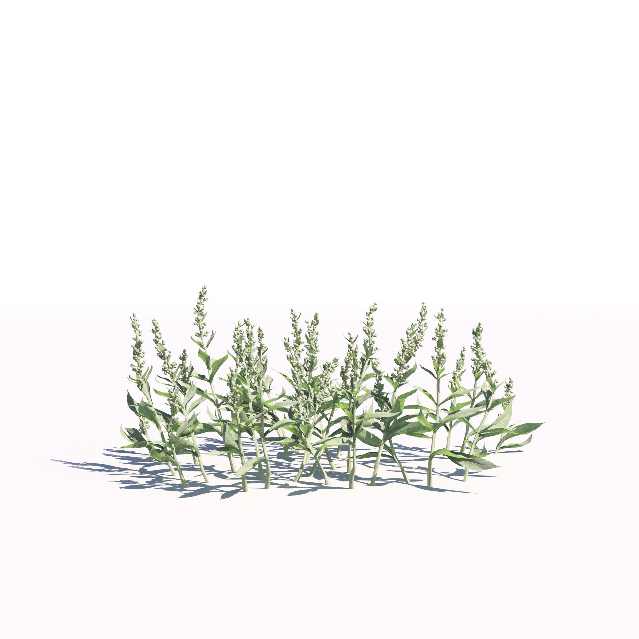 Archmodels vol 275 for c4d - garden plants 3D model_10