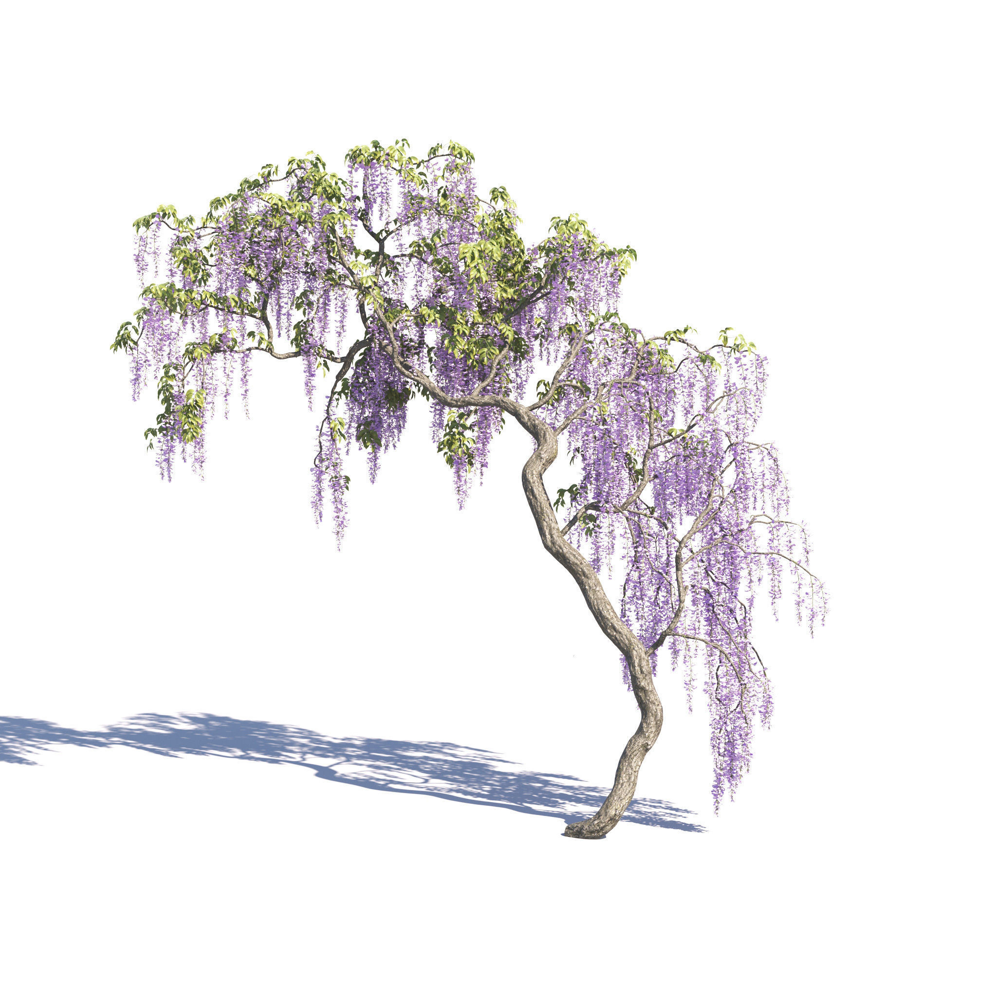 Archmodels vol 275 for c4d - garden plants 3D model_31