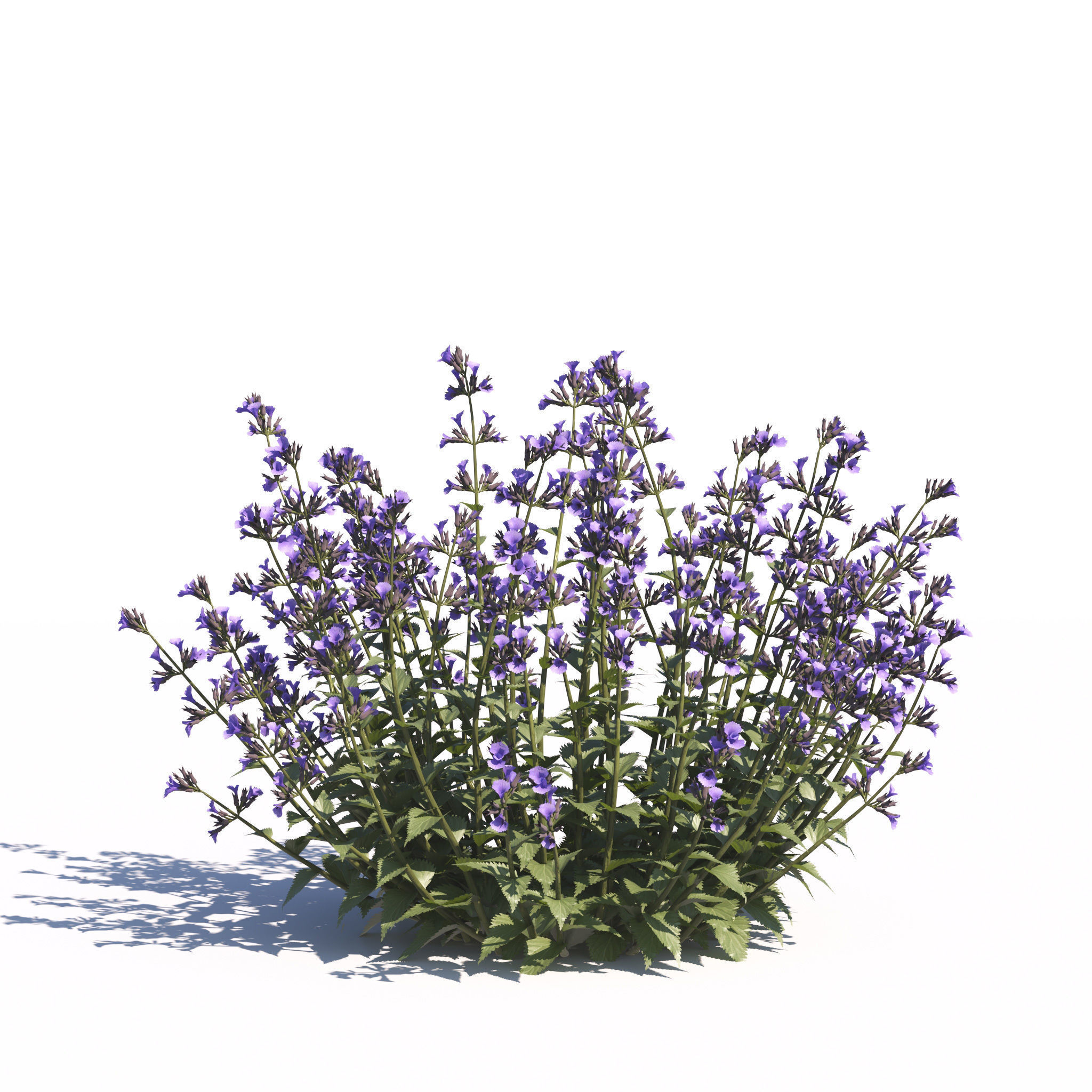 Archmodels vol 275 for c4d - garden plants 3D model_29