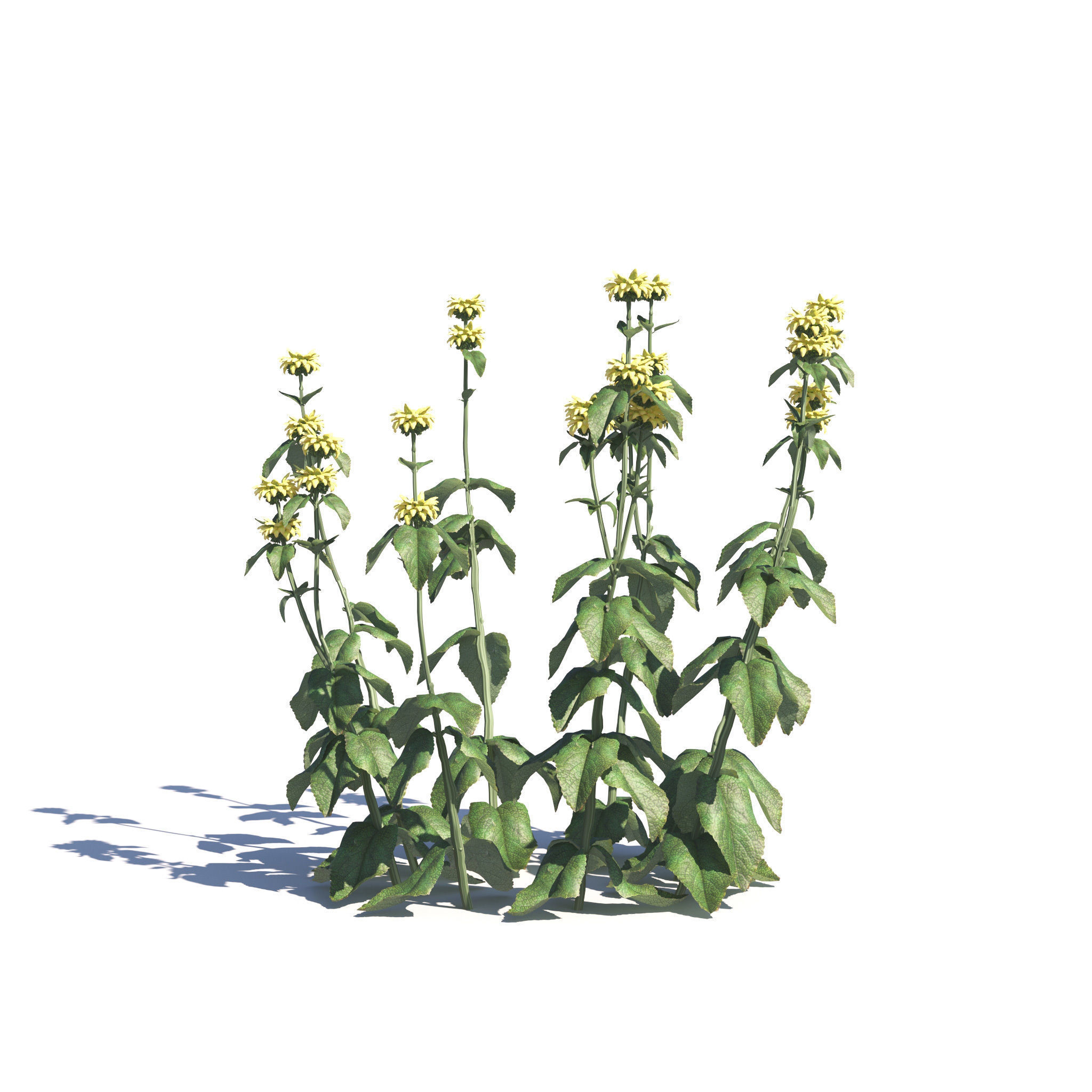 Archmodels vol 275 for c4d - garden plants 3D model_22