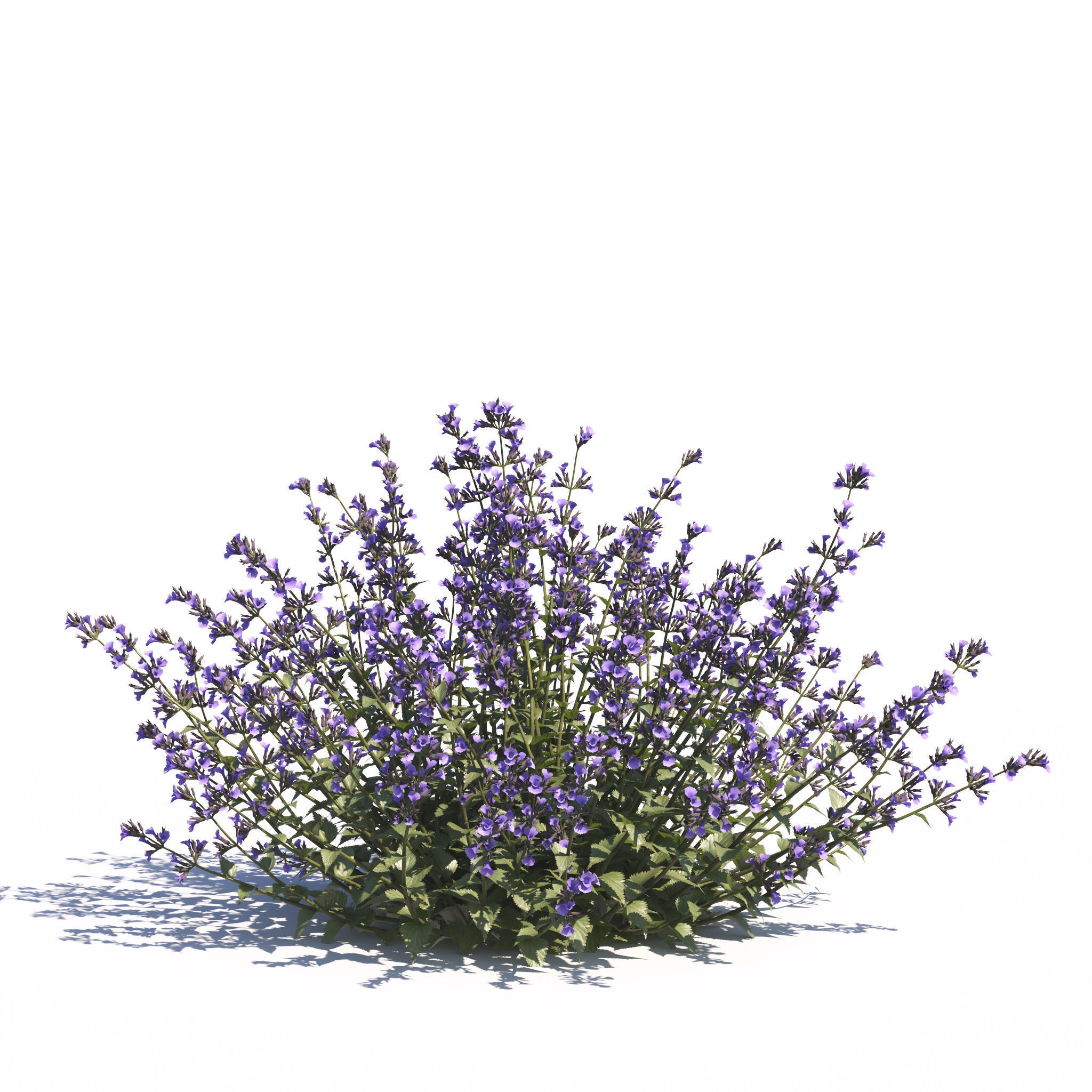 Archmodels vol 275 for c4d - garden plants 3D model_28