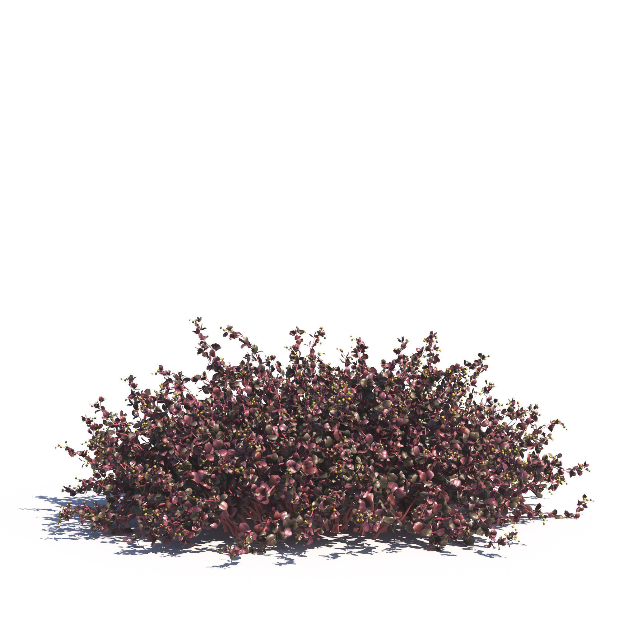 Archmodels vol 275 for c4d - garden plants 3D model_17