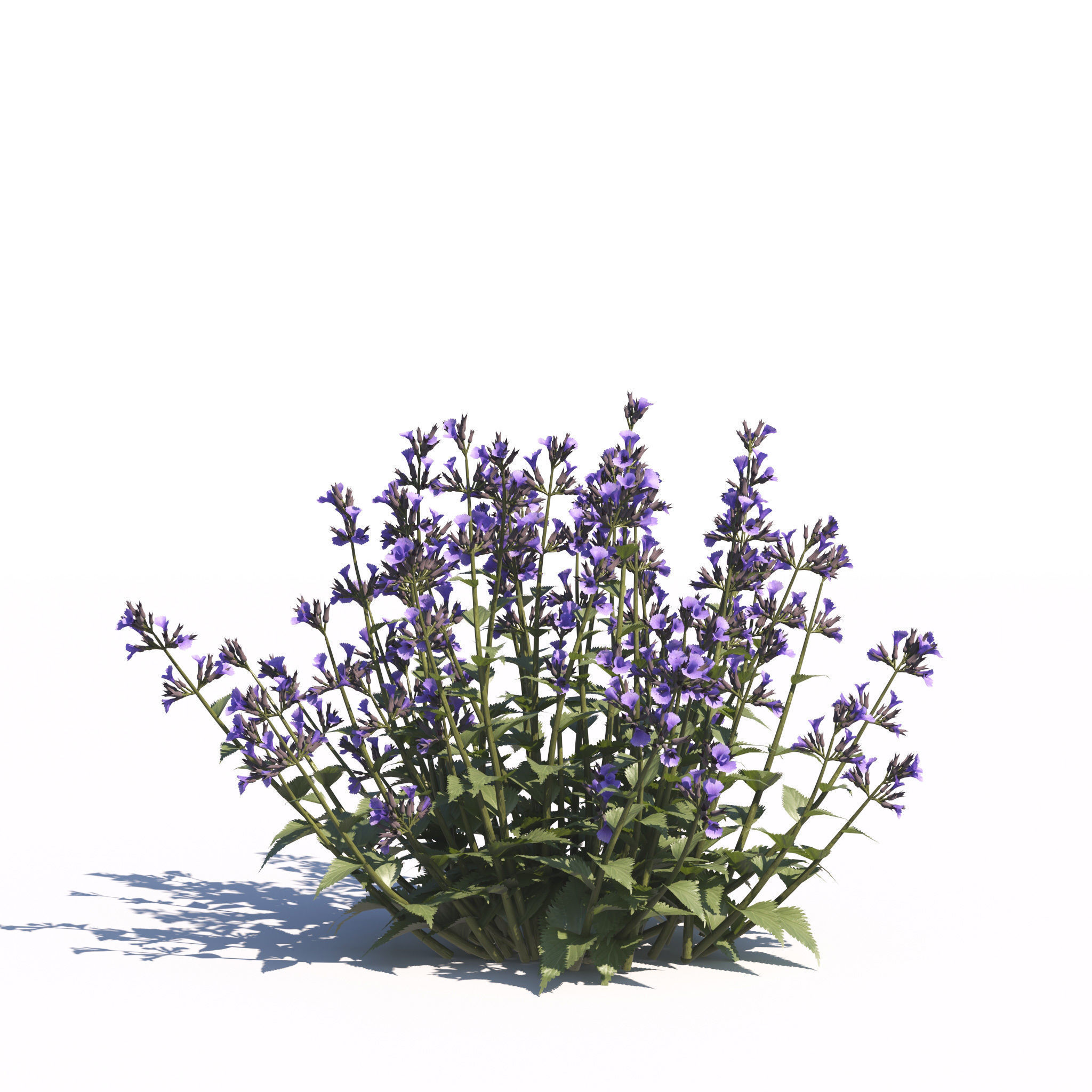 Archmodels vol 275 for c4d - garden plants 3D model_30