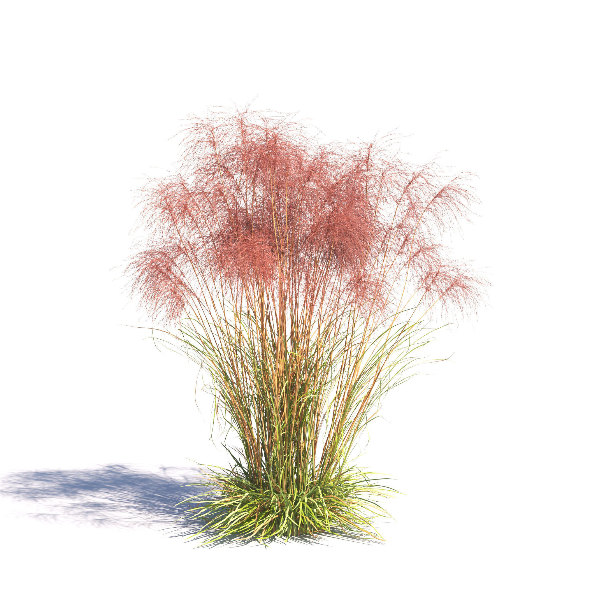 Archmodels vol 275 for c4d - garden plants 3D model_15