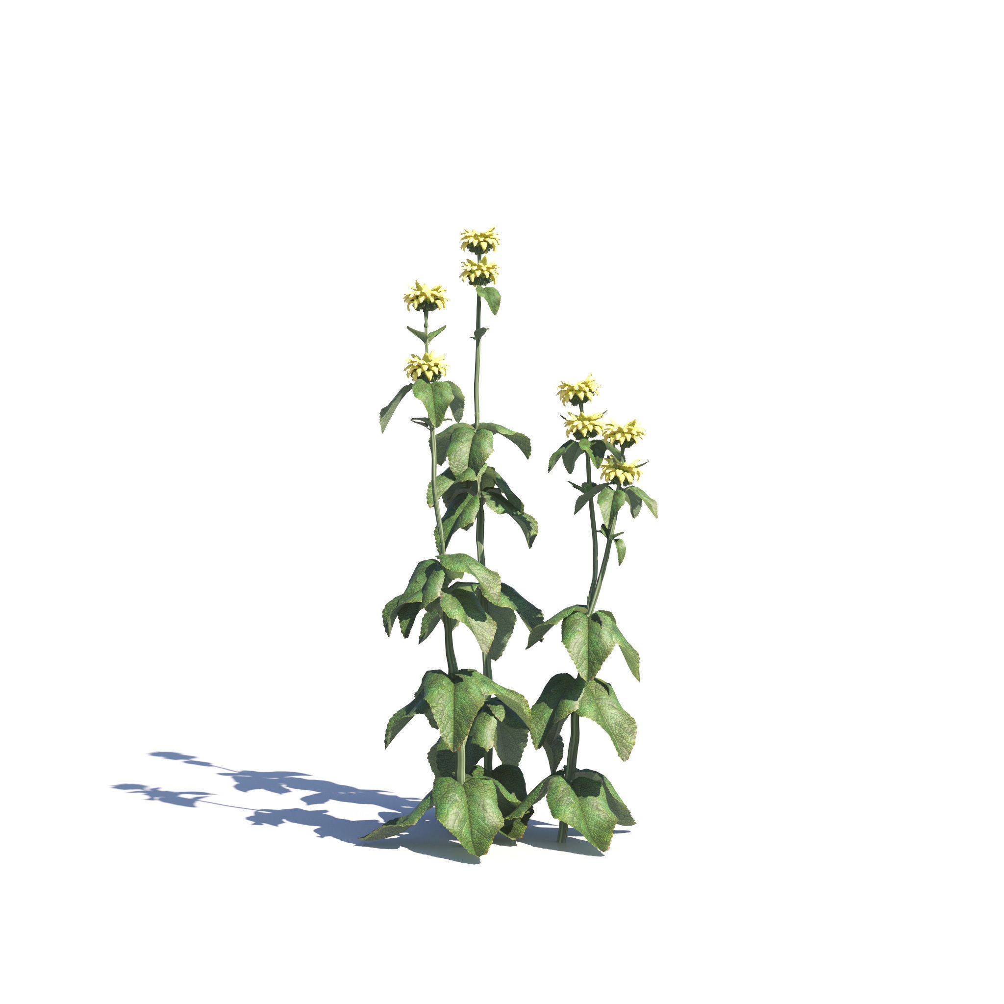 Archmodels vol 275 for c4d - garden plants 3D model_21