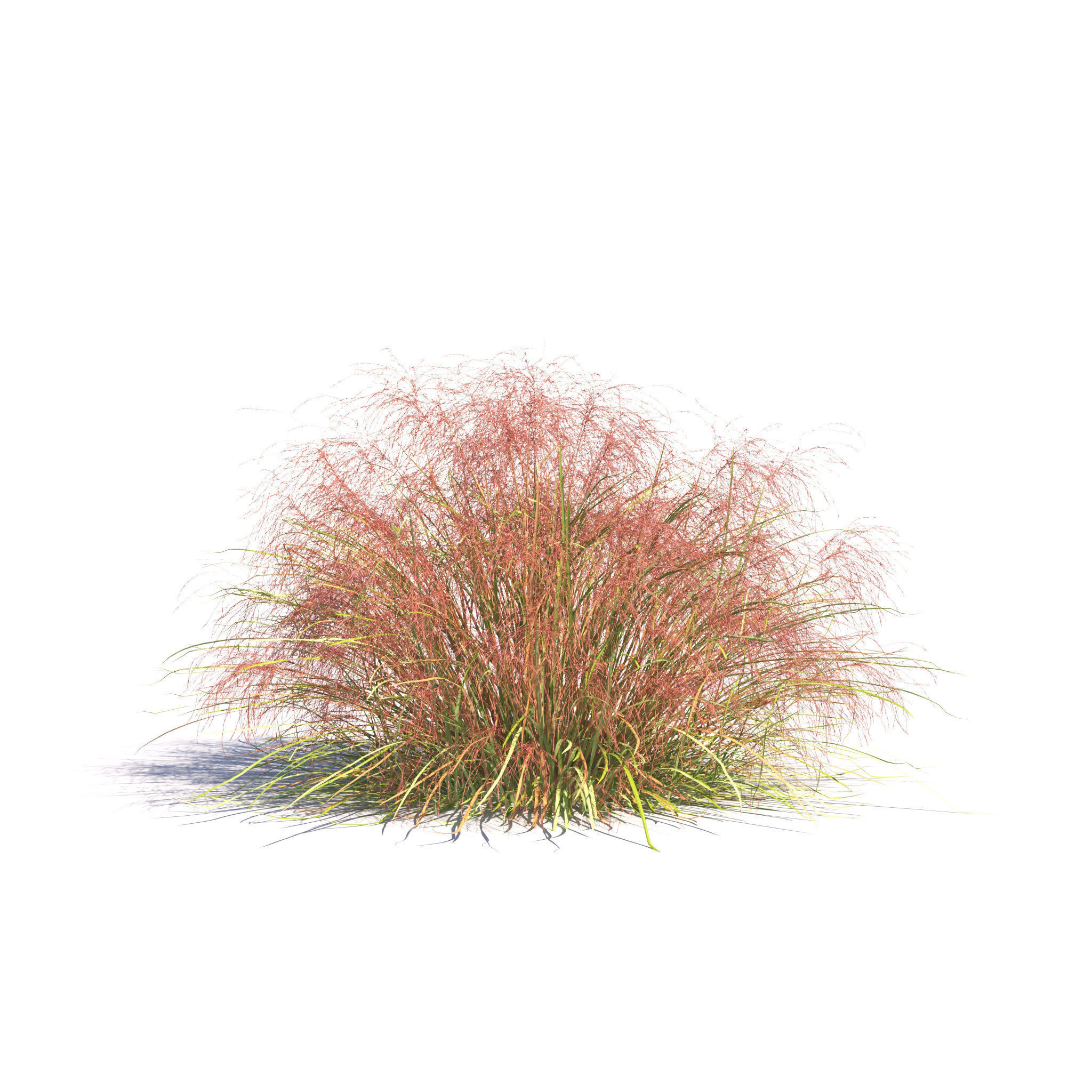 Archmodels vol 275 for c4d - garden plants 3D model_16