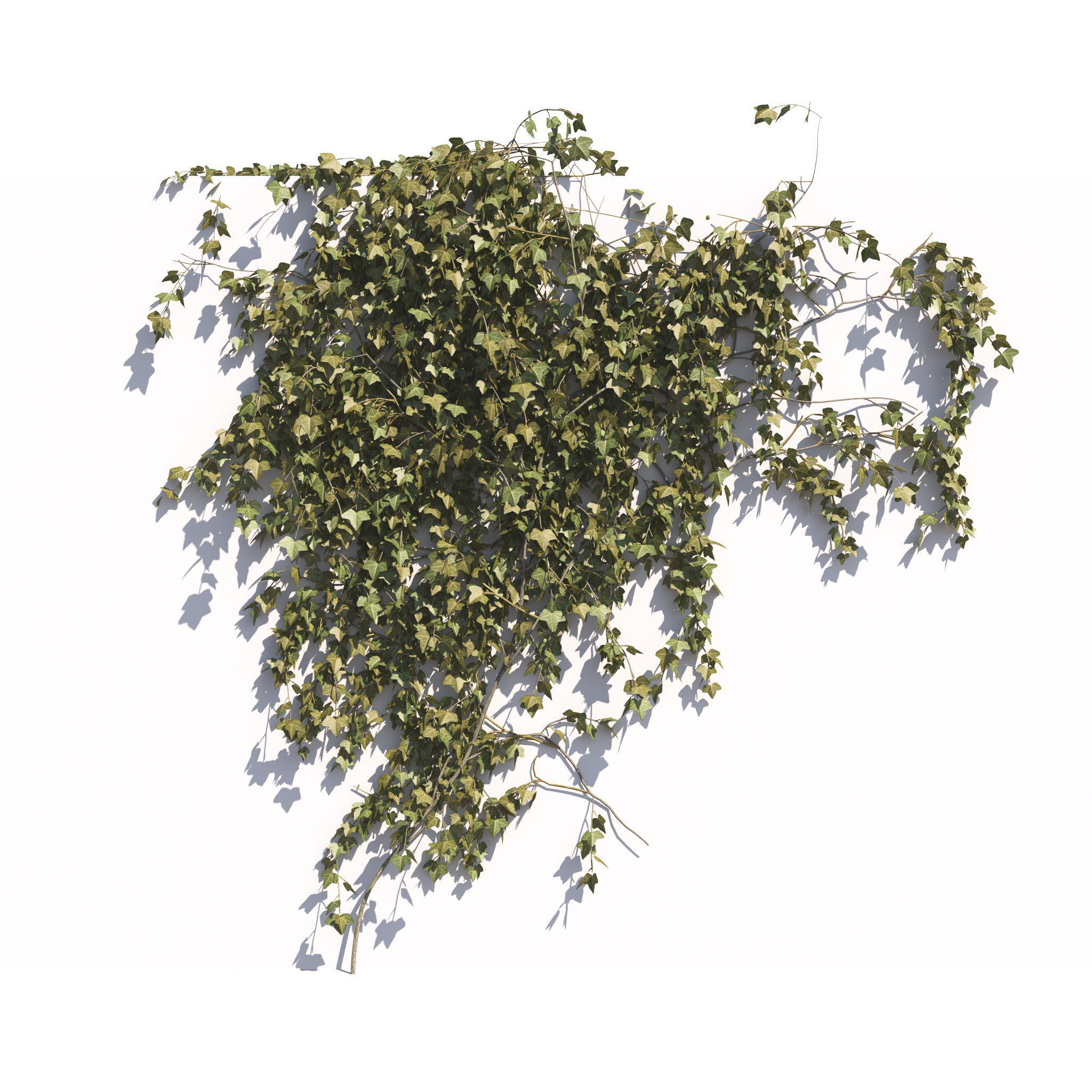 Archmodels vol 275 for c4d - garden plants 3D model_37