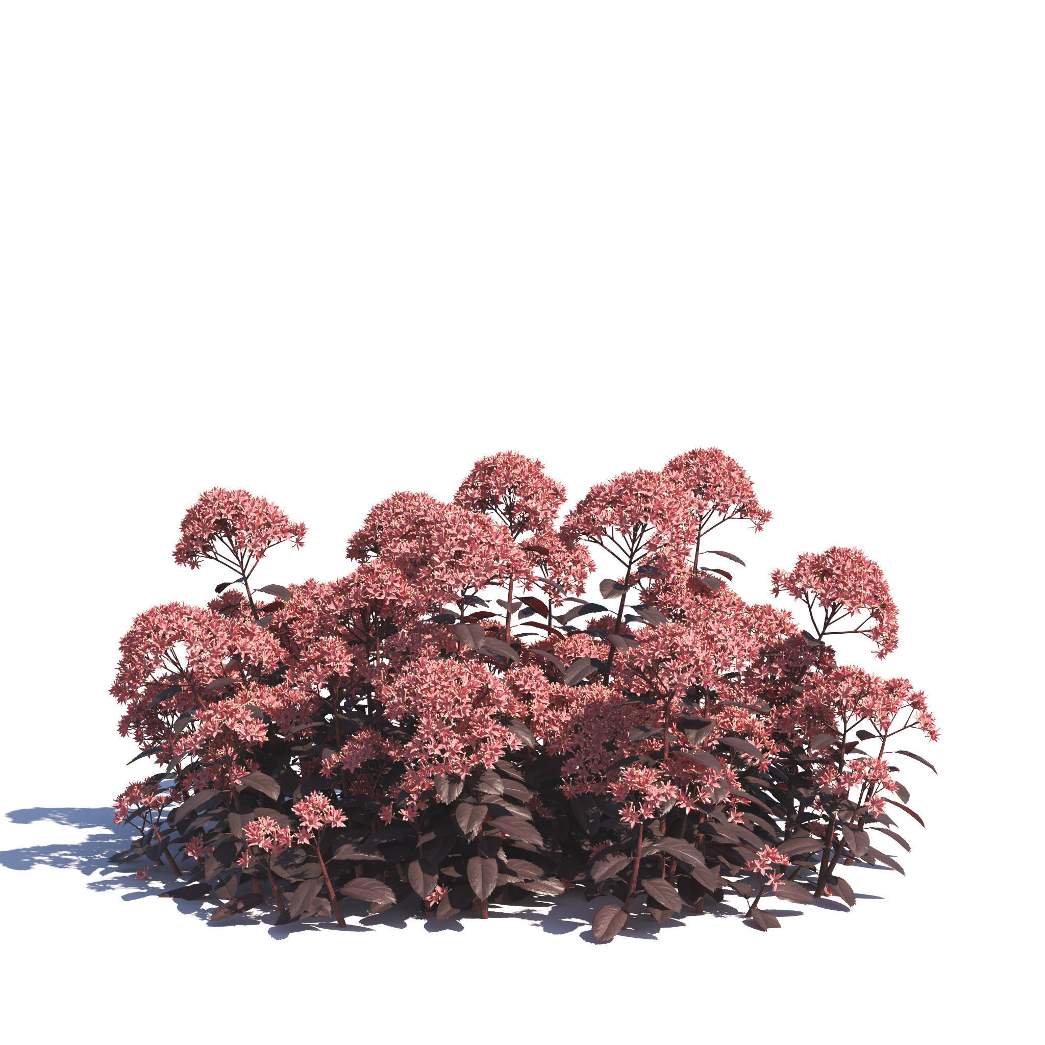 Archmodels vol 275 for c4d - garden plants 3D model_4