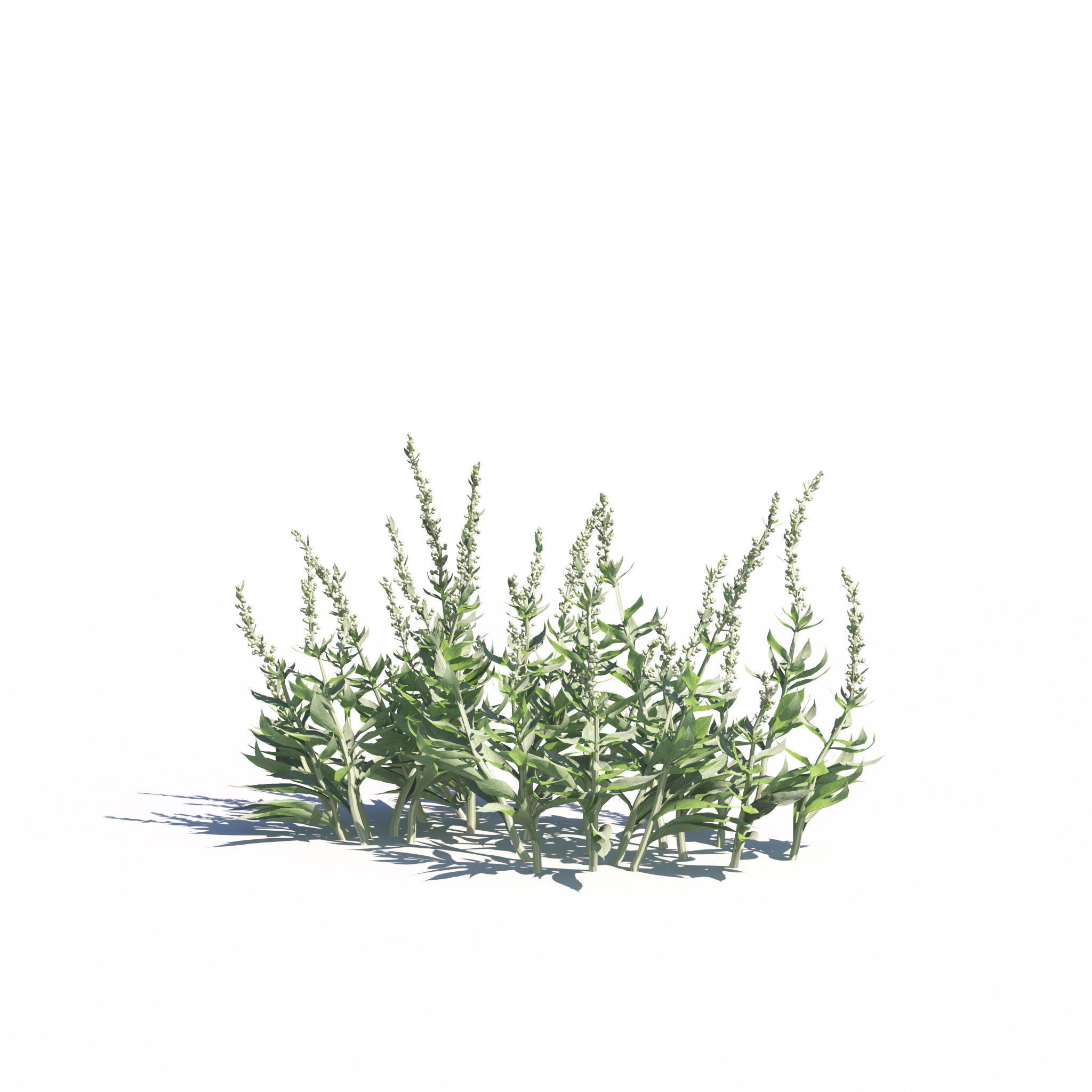 Archmodels vol 275 for c4d - garden plants 3D model_9