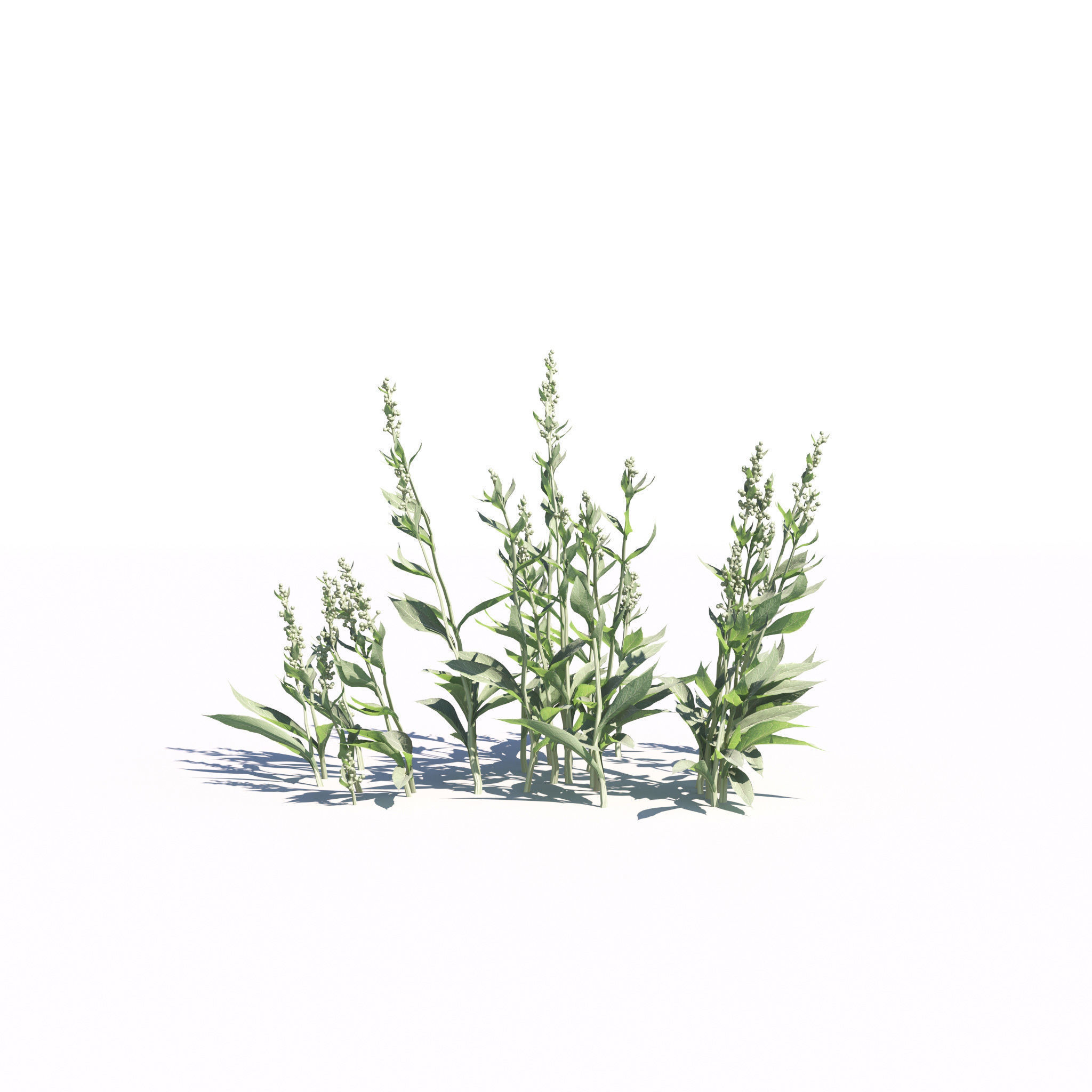 Archmodels vol 275 for c4d - garden plants 3D model_8