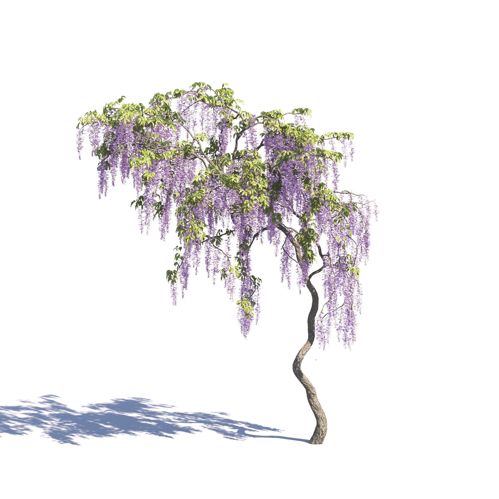 Archmodels vol 275 for c4d - garden plants 3D model_32