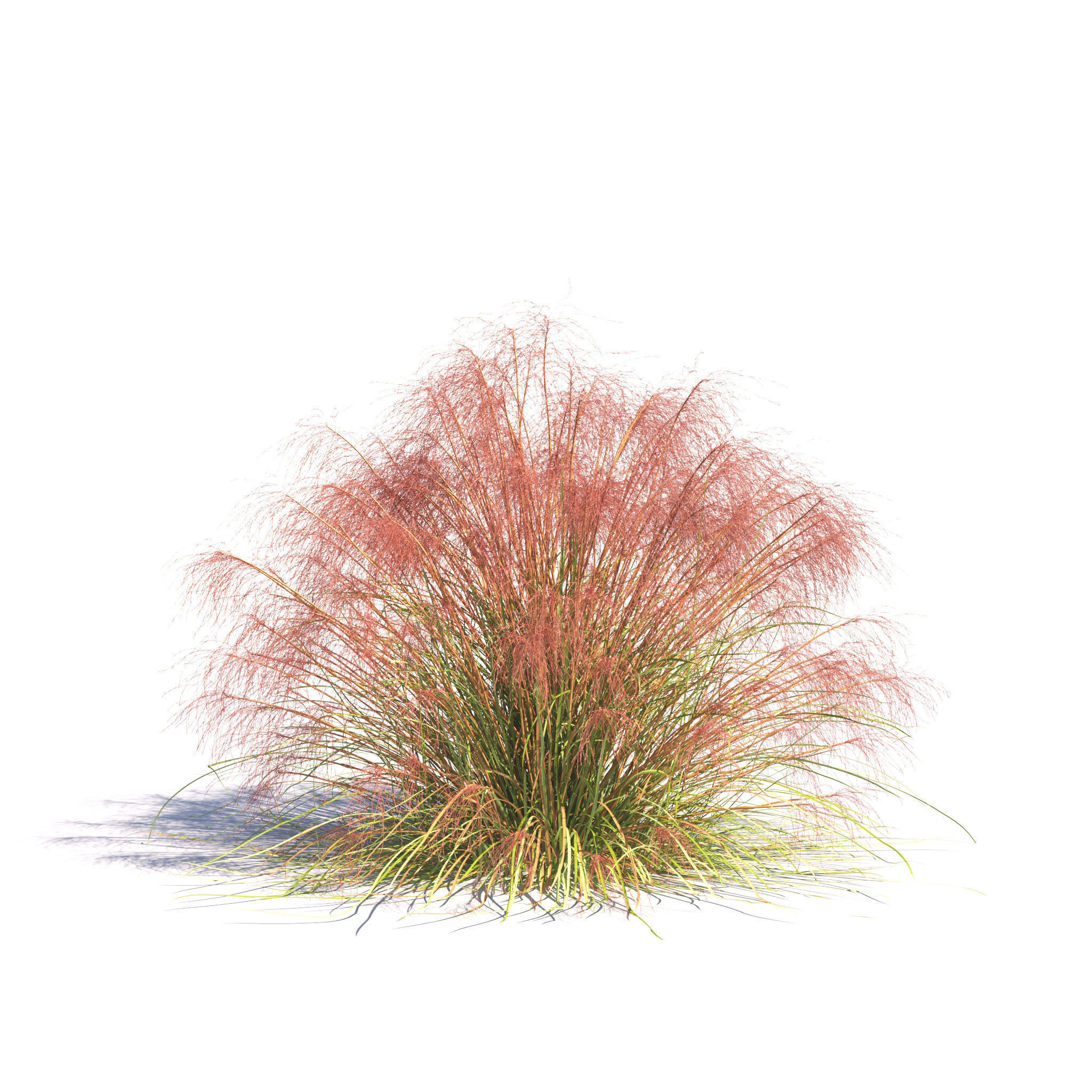 Archmodels vol 275 for c4d - garden plants 3D model_14