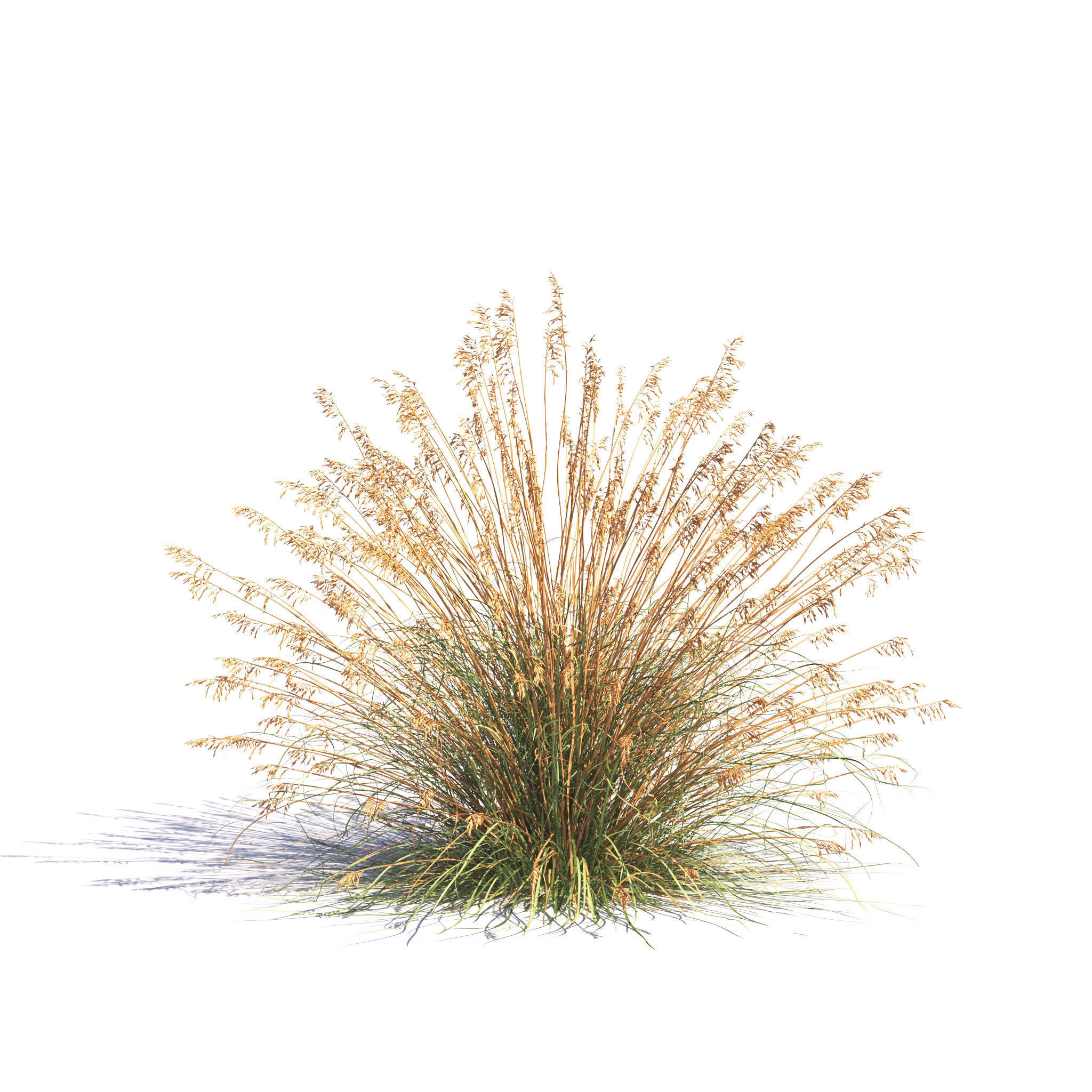 Archmodels vol 275 for c4d - garden plants 3D model_12