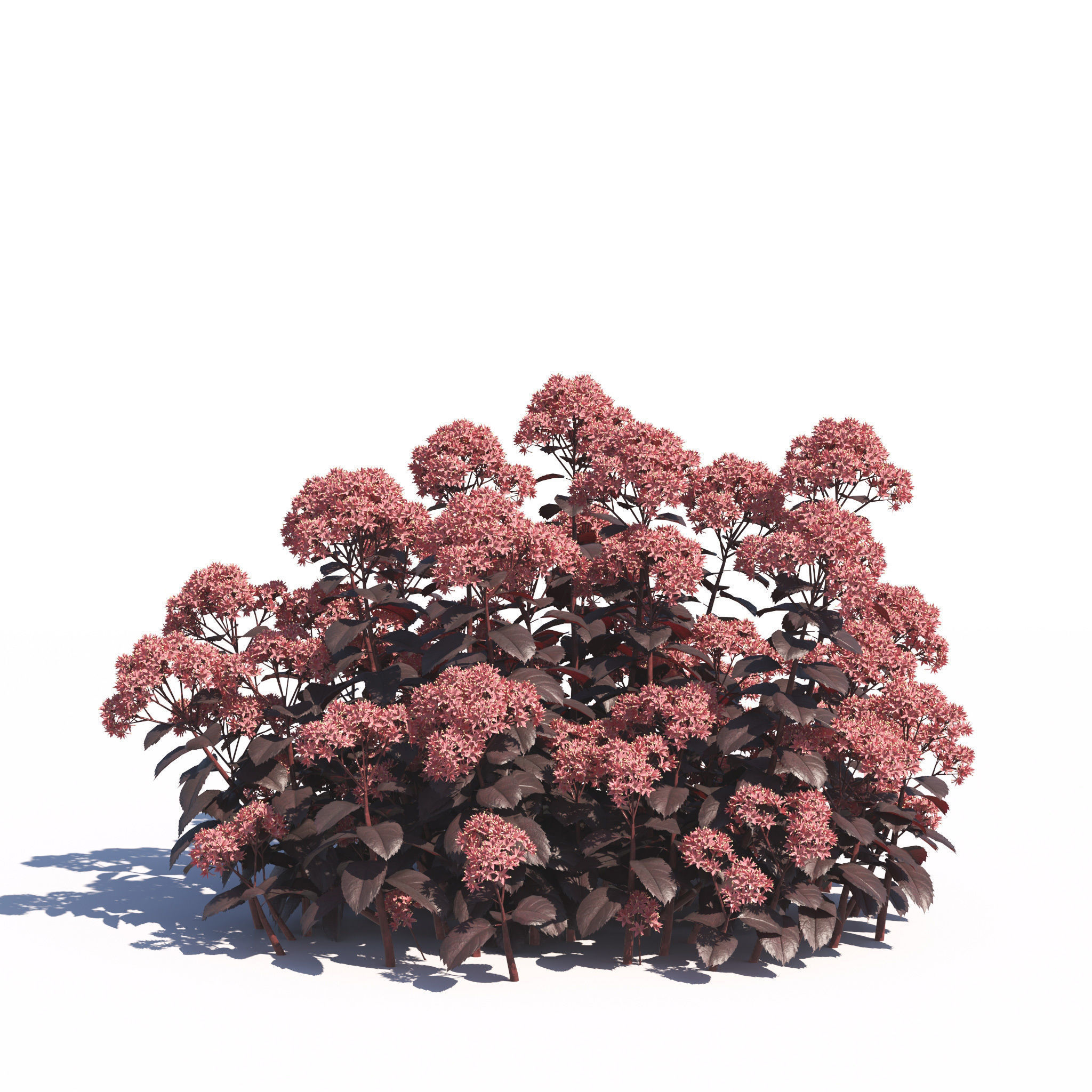 Archmodels vol 275 for c4d - garden plants 3D model_5