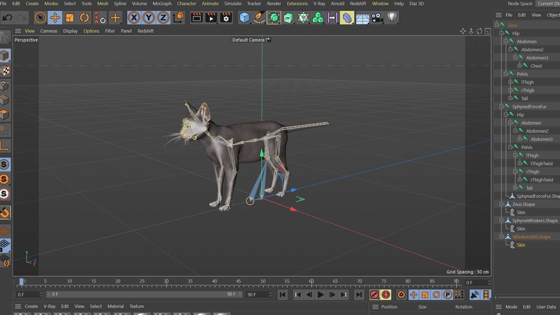 3D Hairless Cat Rigged 3D model_37