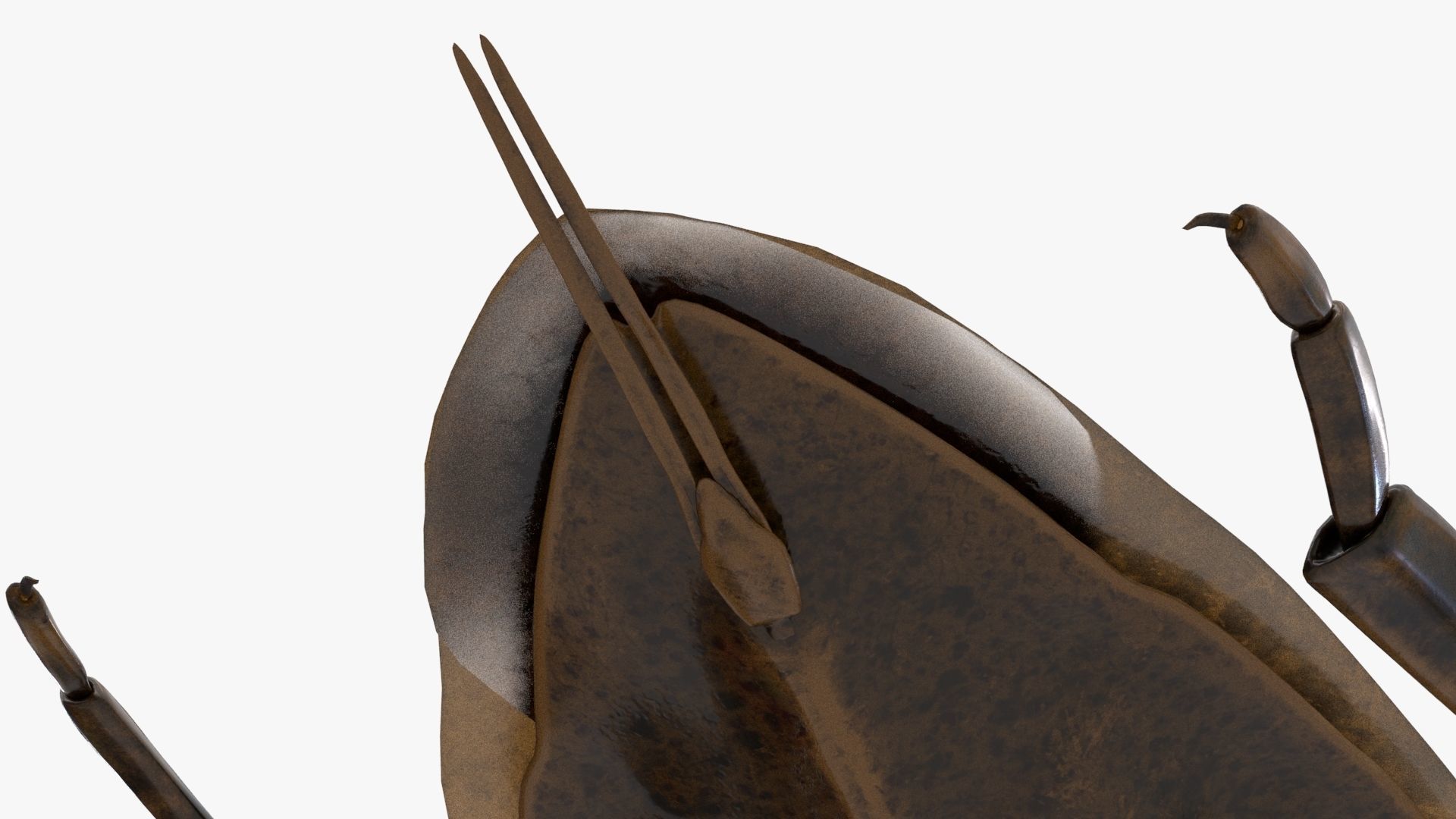 Realistic 8k Textures Giant Water Bug Low-poly 3D model_12