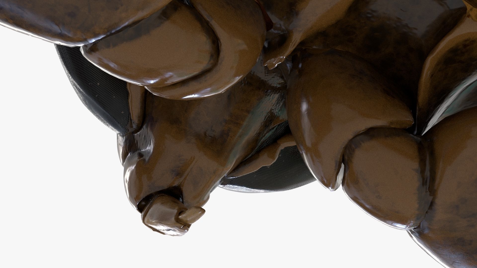 Realistic 8k Textures Giant Water Bug Low-poly 3D model_11