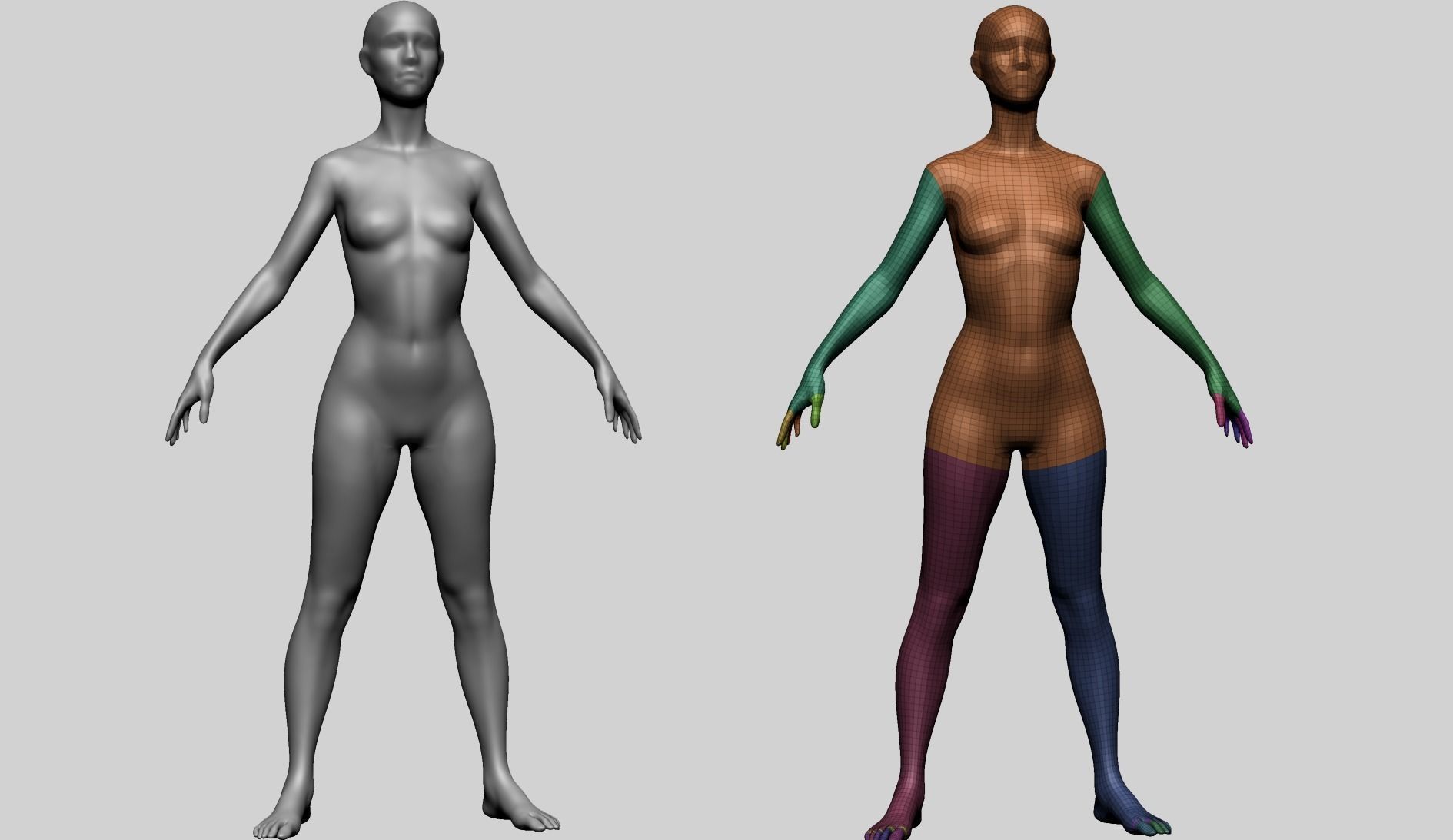 Female Basemesh B 3D model_1
