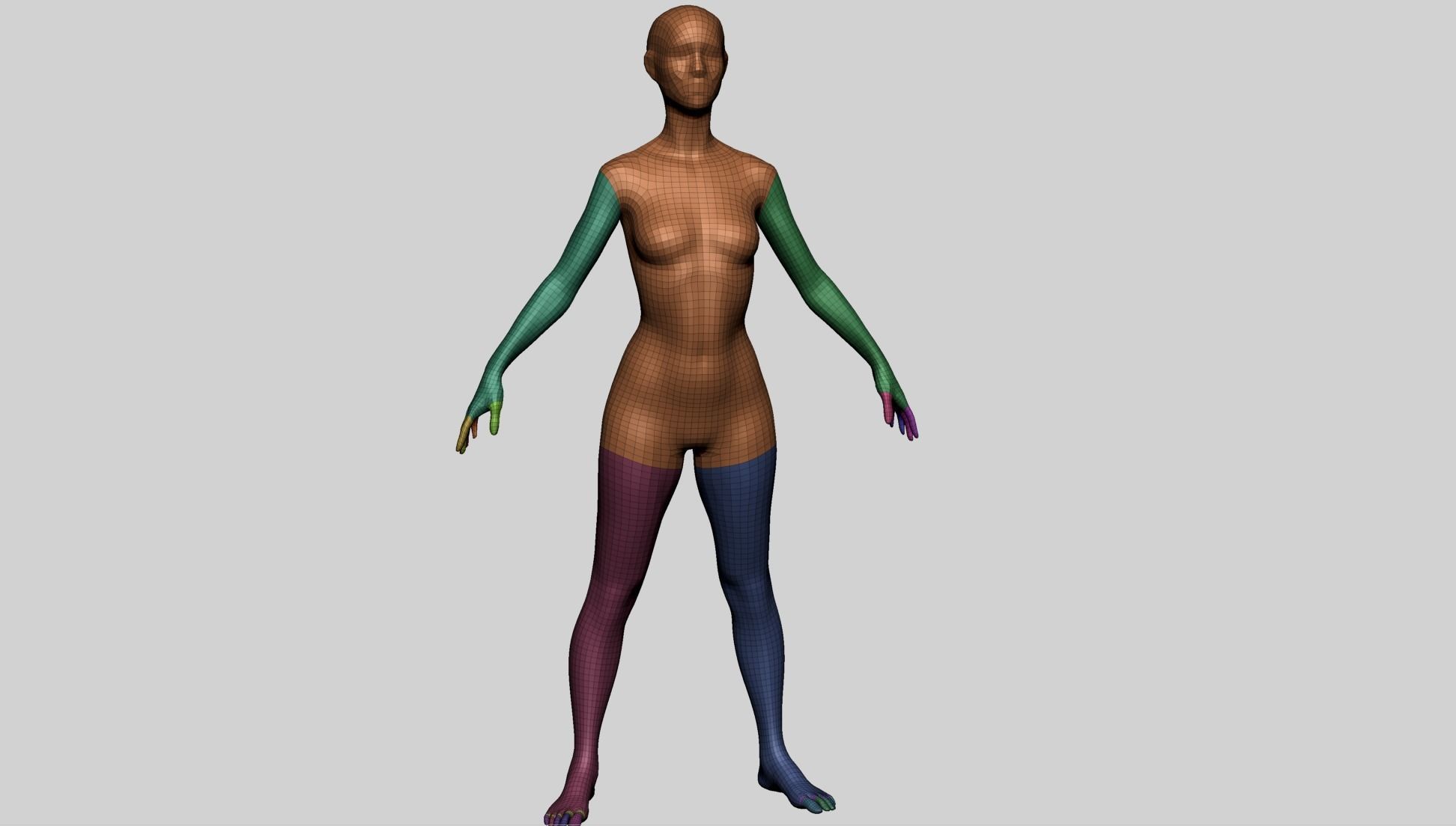Female Basemesh B 3D model_14