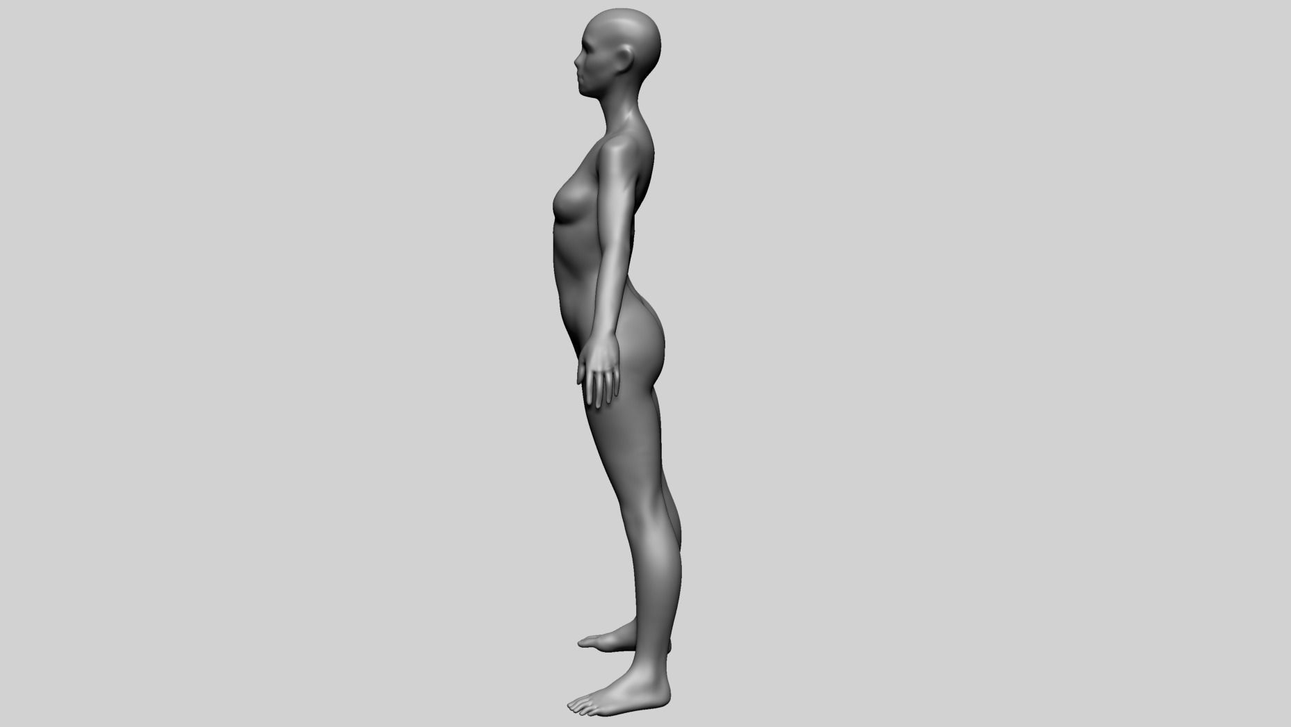 Female Basemesh B 3D model_10