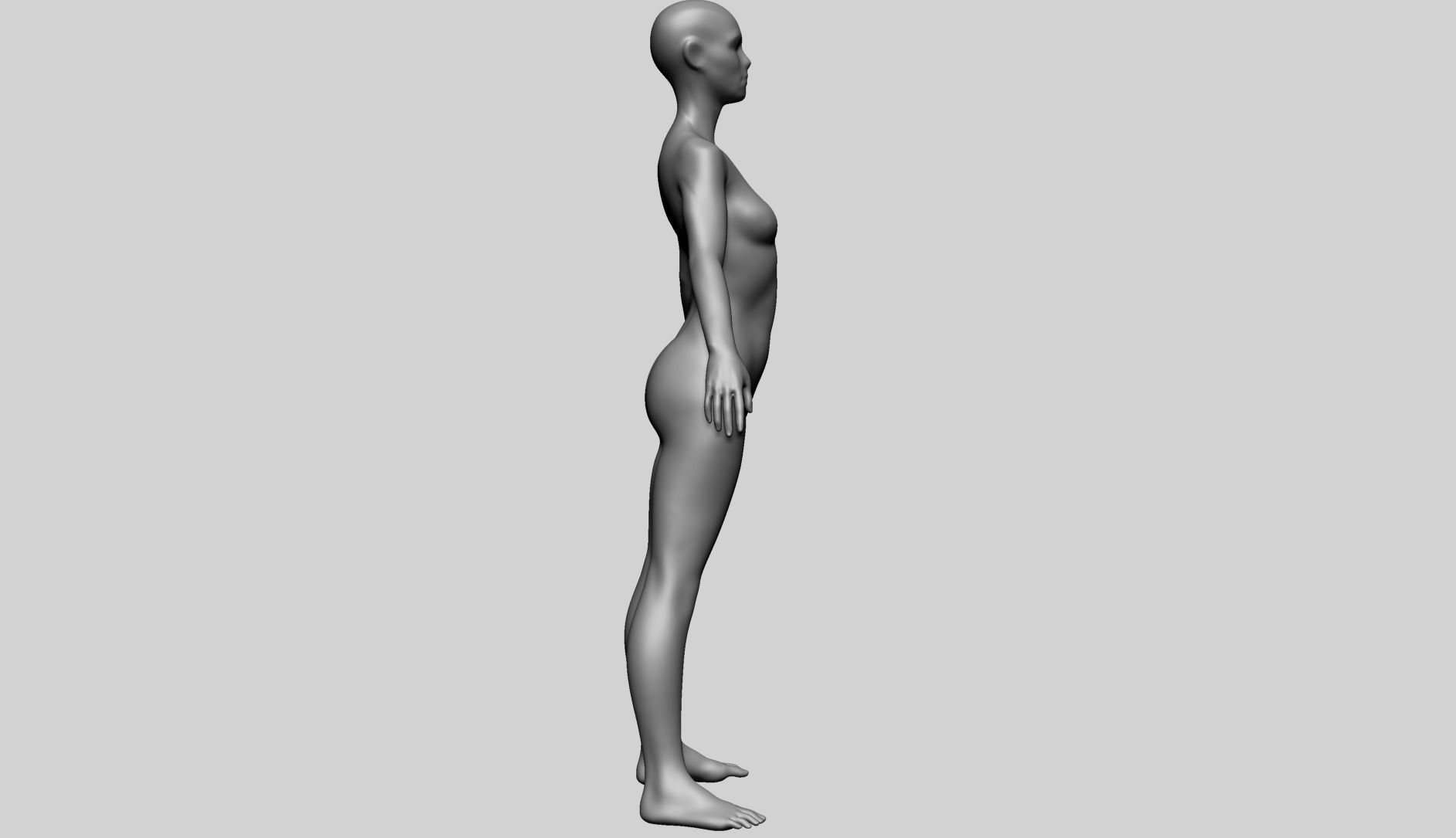 Female Basemesh B 3D model_6