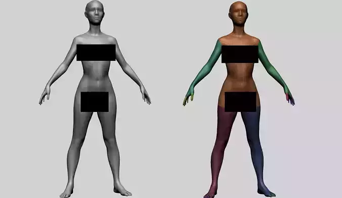 Female Basemesh B 3D model