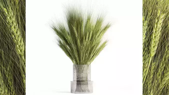 Green bouquet of wildflowers from wheat spikelets in a vase 398 3D model