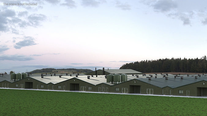 Chicken Farm 3D model 4