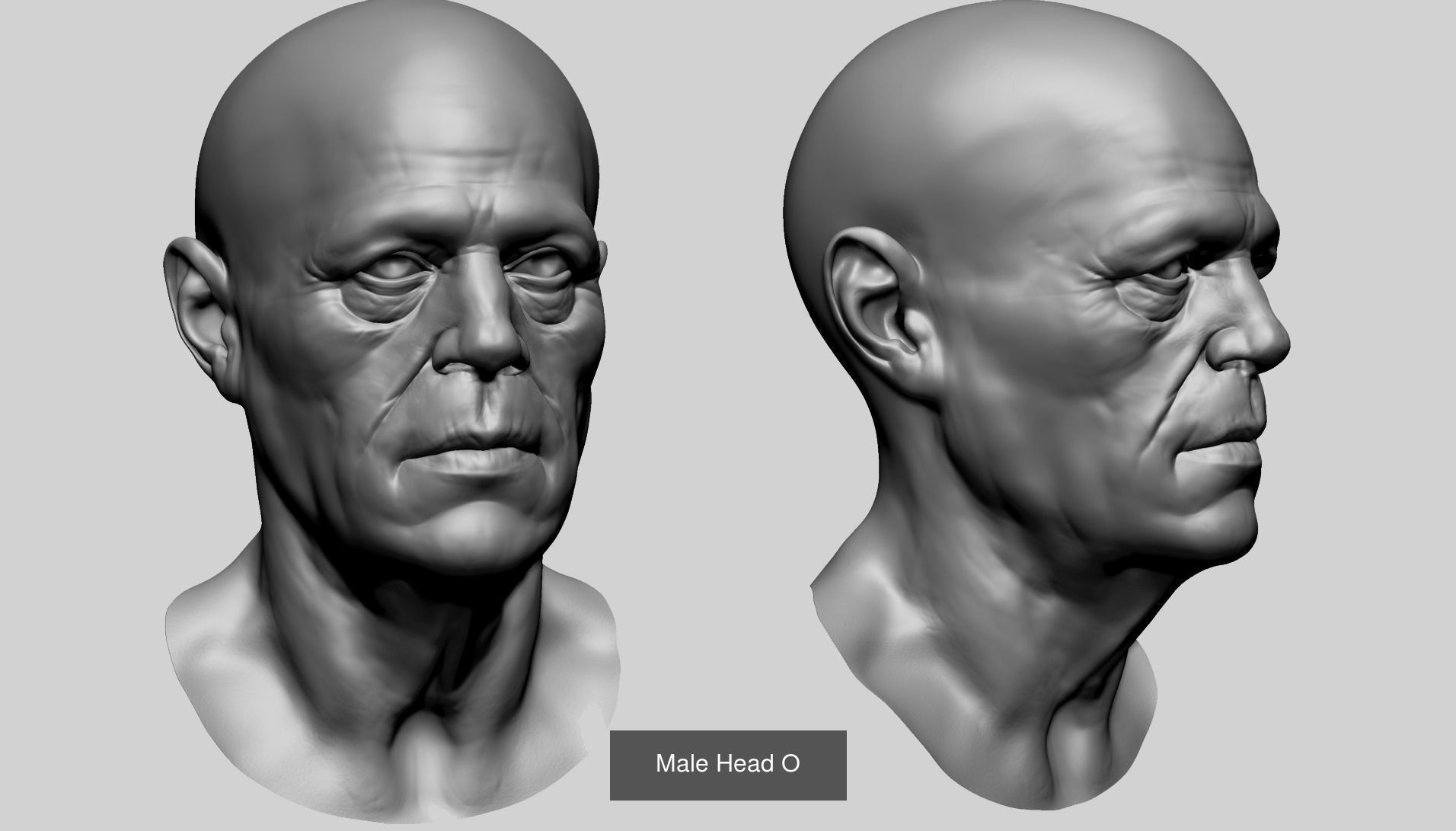 Male and Female Anatomy Models F 3D Model Collection_20