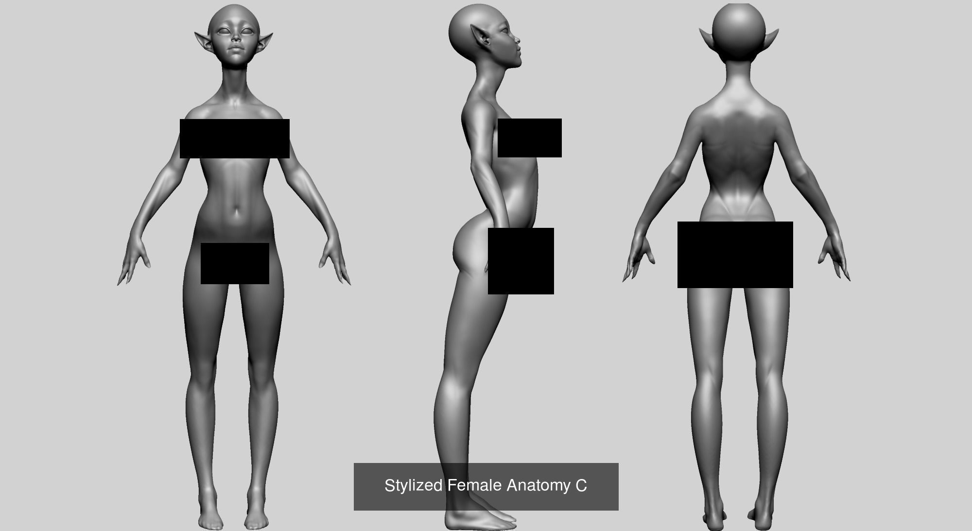Male and Female Anatomy Models F 3D Model Collection_8