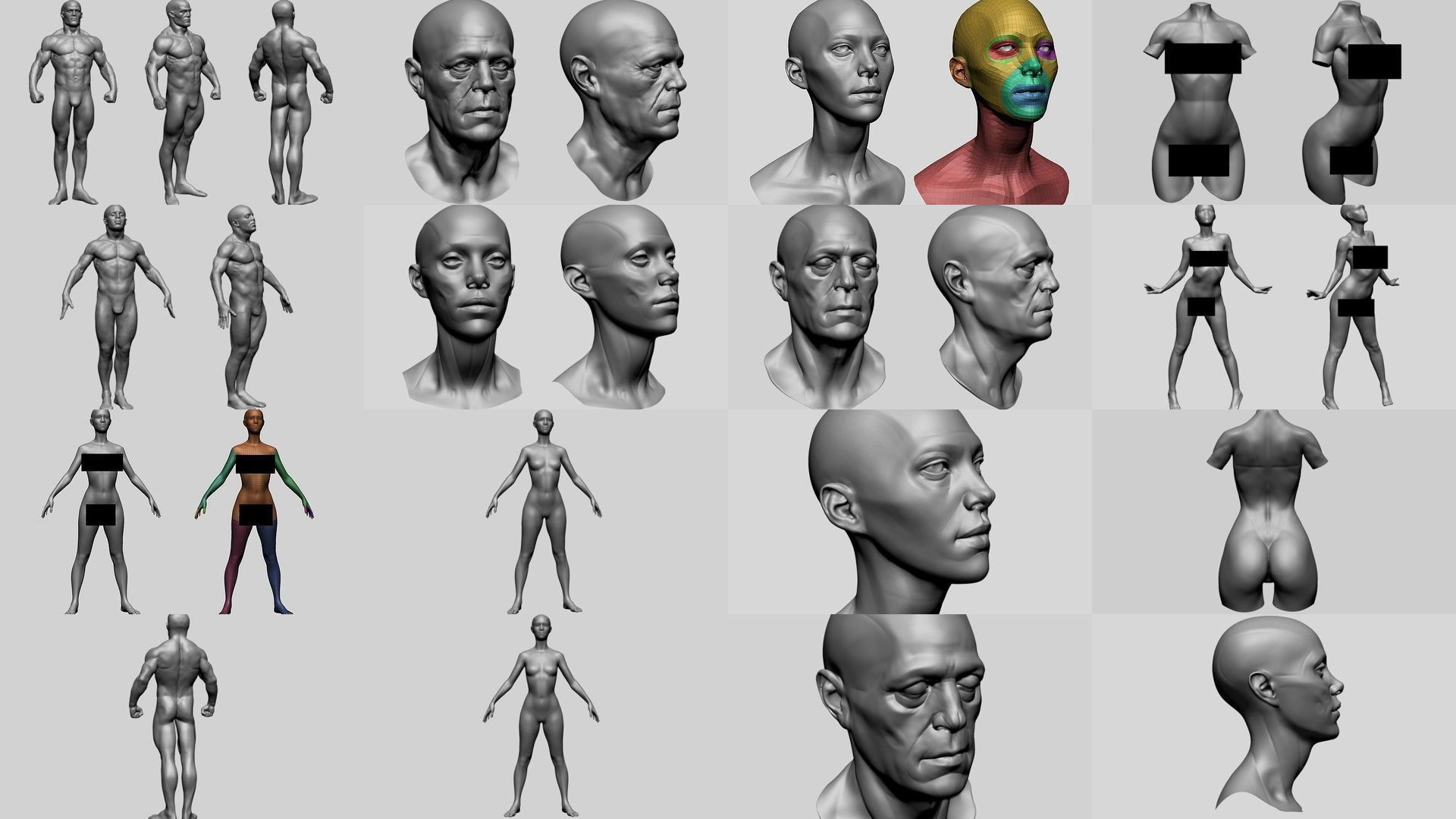 Male and Female Anatomy Models F 3D Model Collection_1