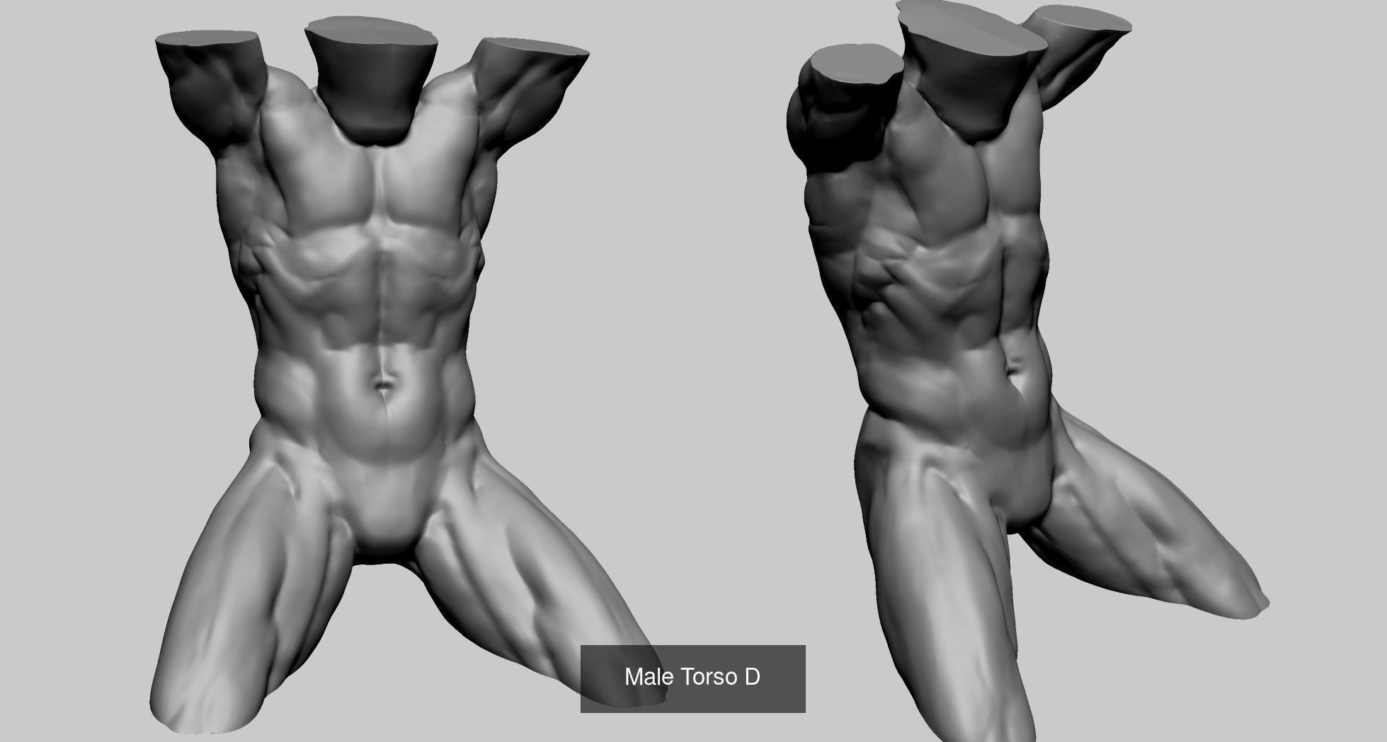 Male and Female Anatomy Models F 3D Model Collection_18