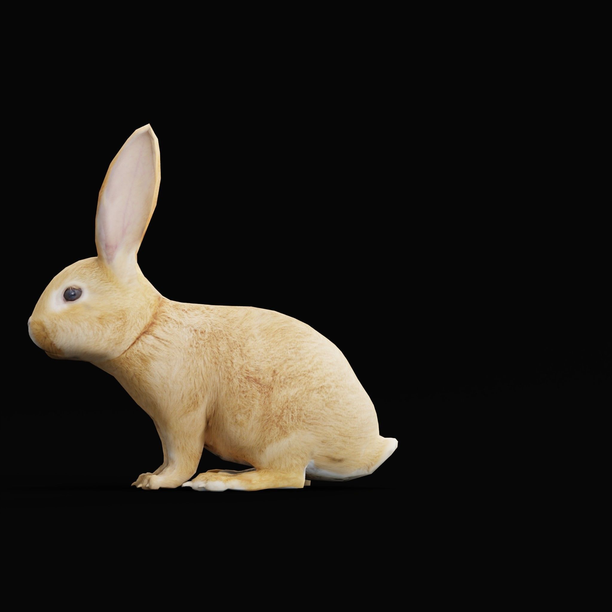 Easter Bunny Rabbit Low-poly 3D model_5