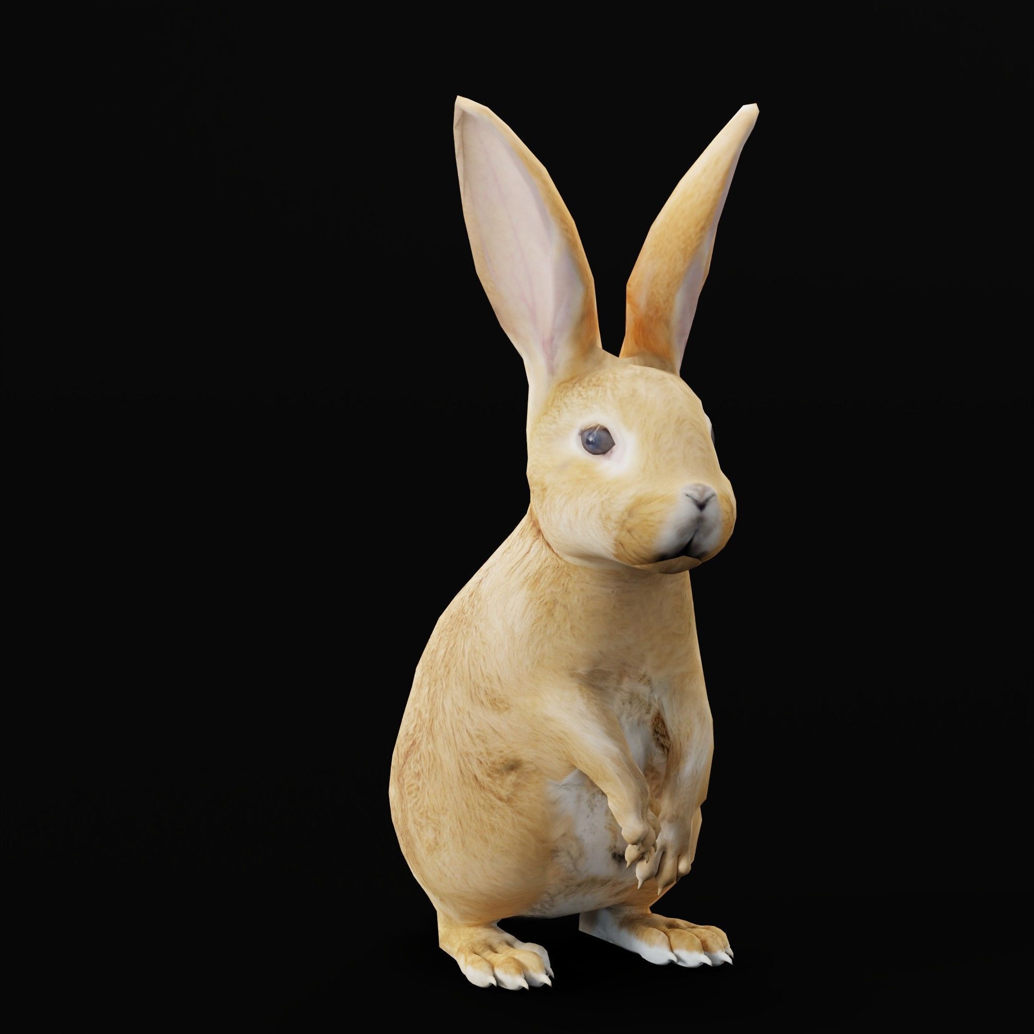 Easter Bunny Rabbit Low-poly 3D model_6