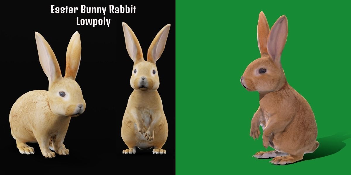 Easter Bunny Rabbit Low-poly 3D model_2