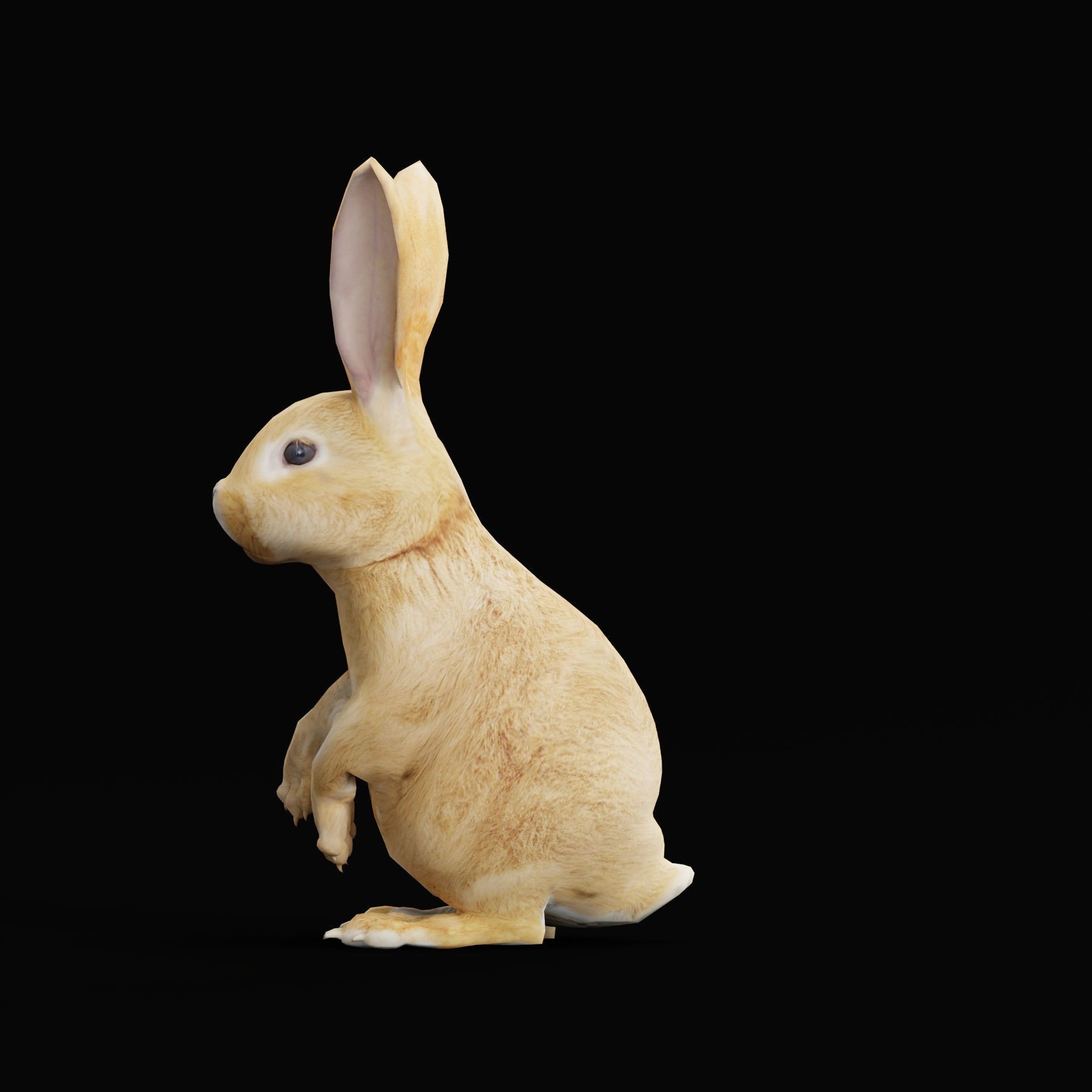 Easter Bunny Rabbit Low-poly 3D model_8
