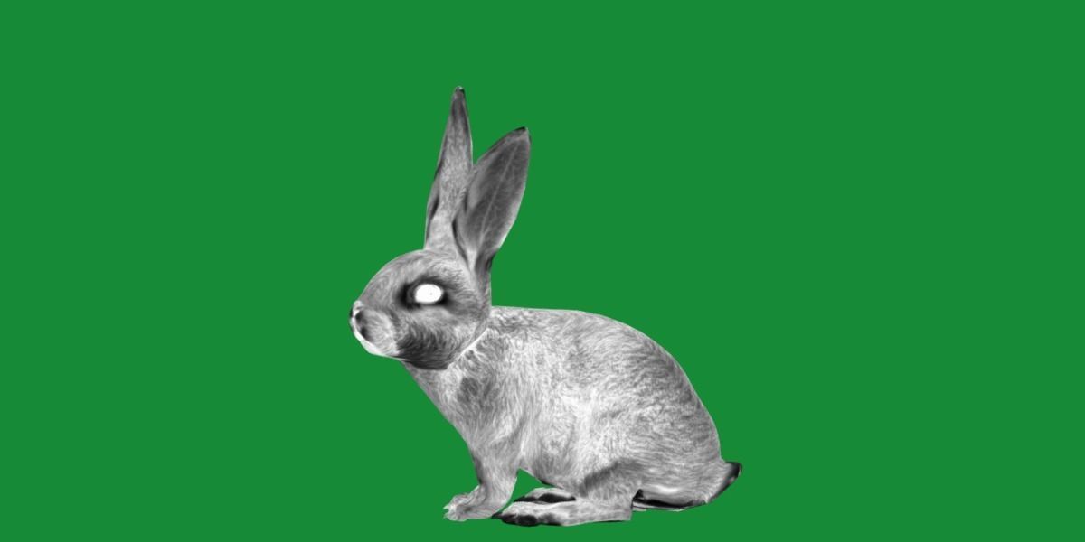 Easter Bunny Rabbit Low-poly 3D model_11