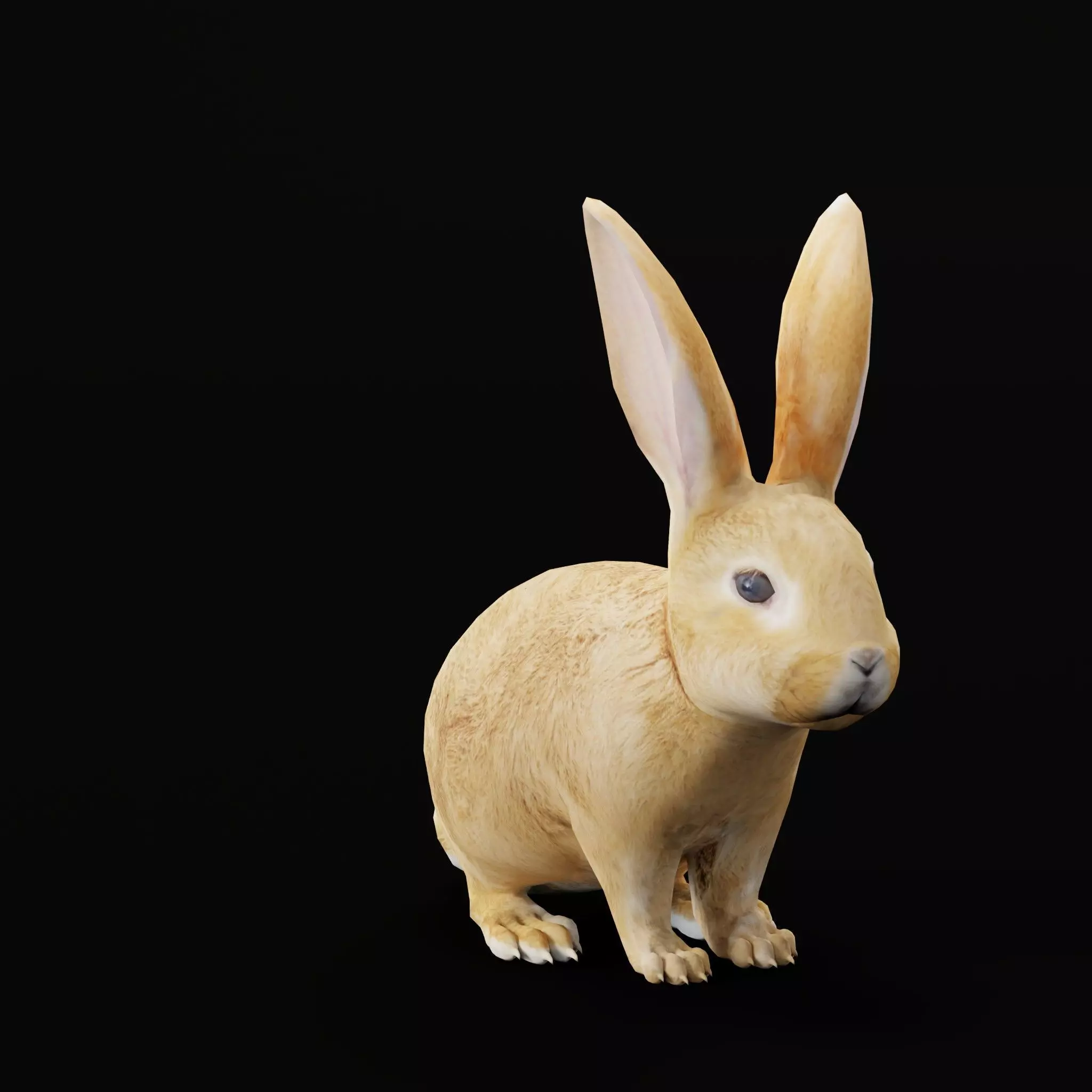 Easter Bunny Rabbit Low-poly 3D model_0