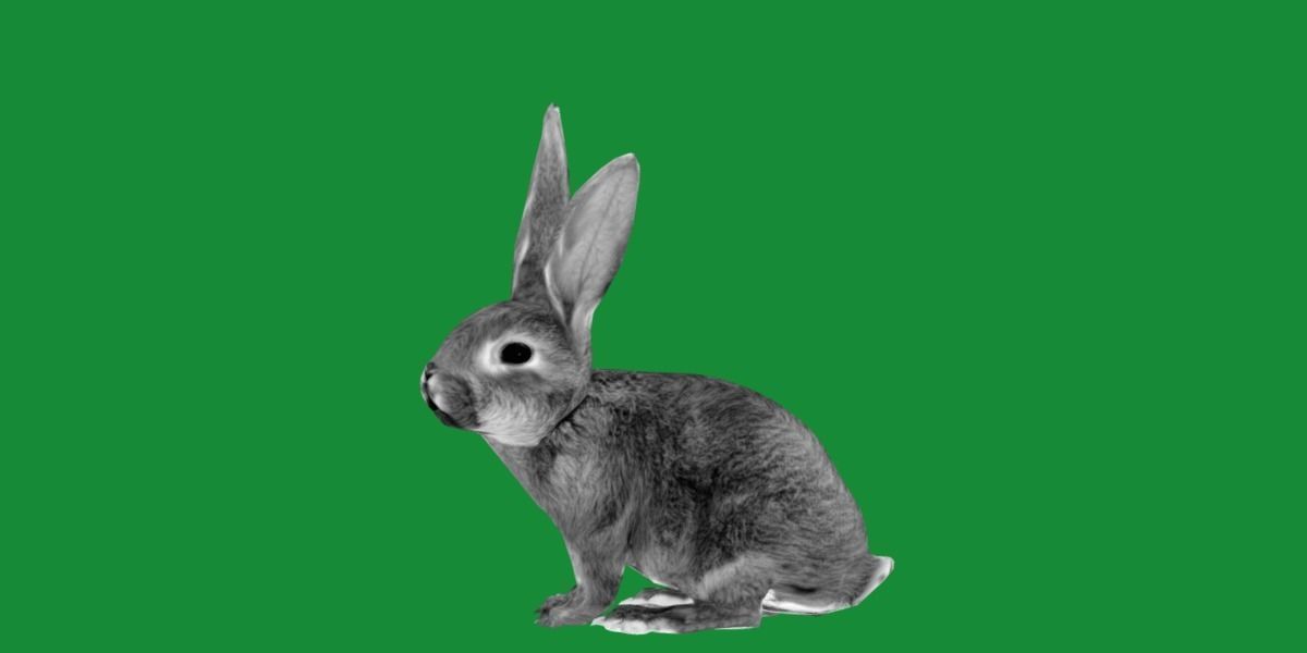 Easter Bunny Rabbit Low-poly 3D model_12