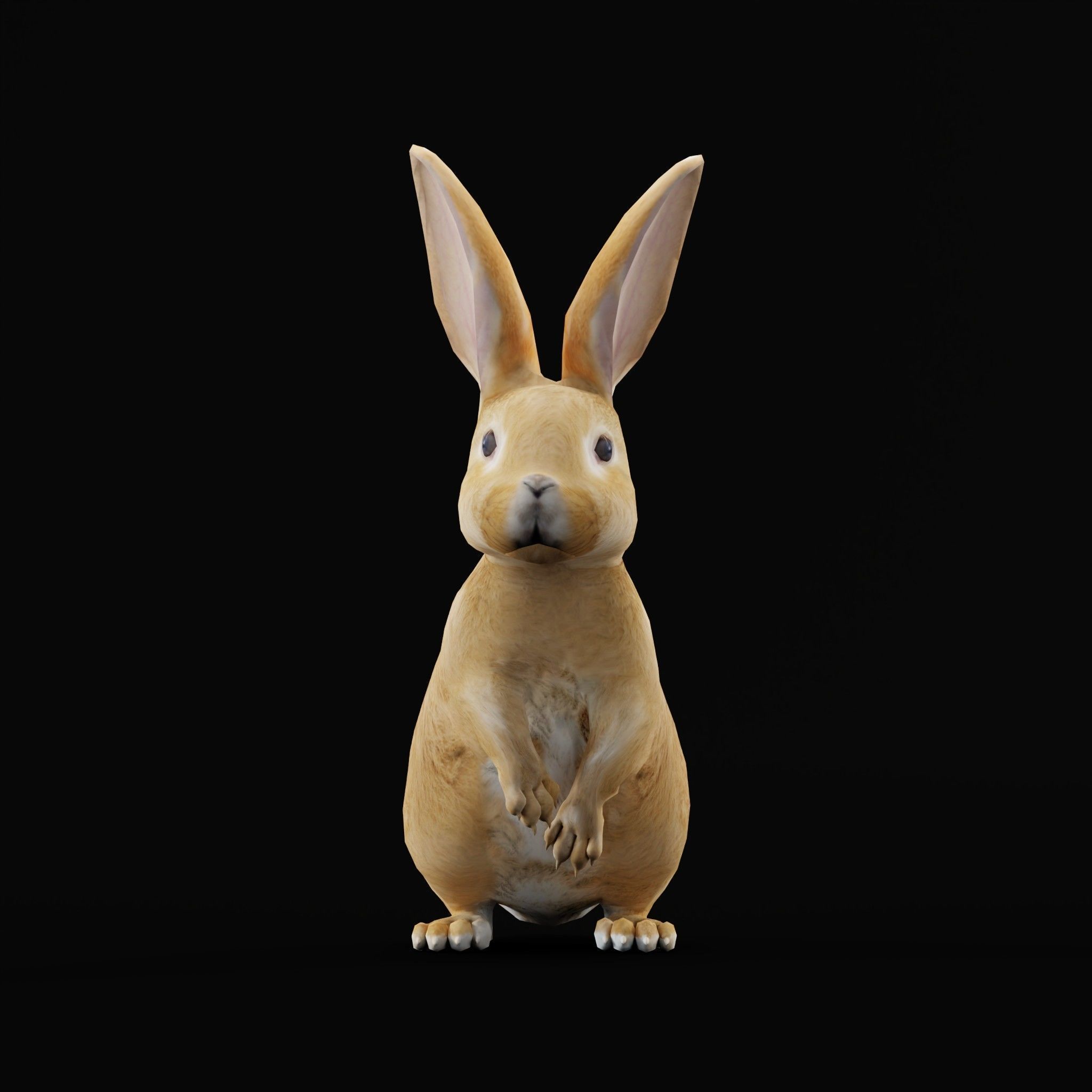 Easter Bunny Rabbit Low-poly 3D model_3