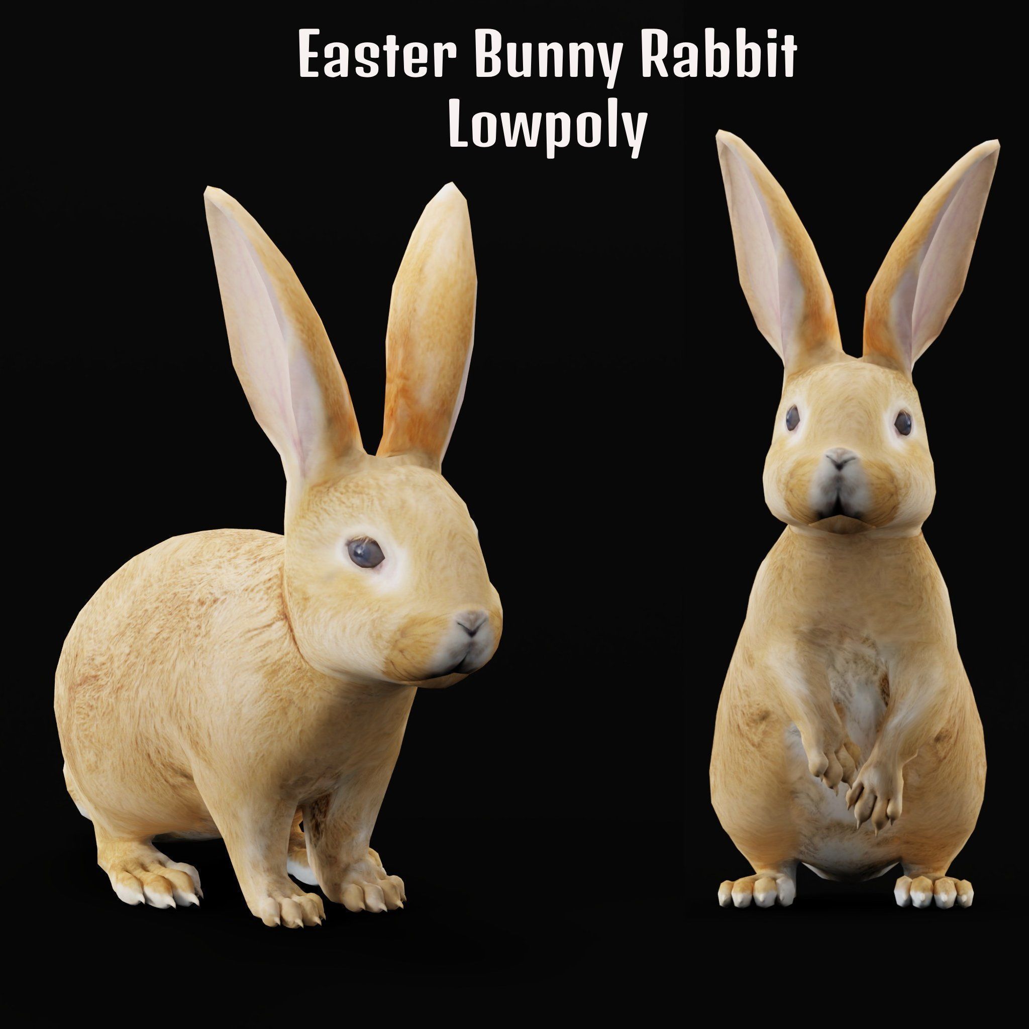 Easter Bunny Rabbit Low-poly 3D model_7