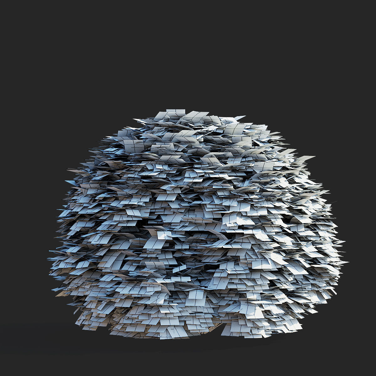  Thuja occidentalis Woodwardii 3D model_6