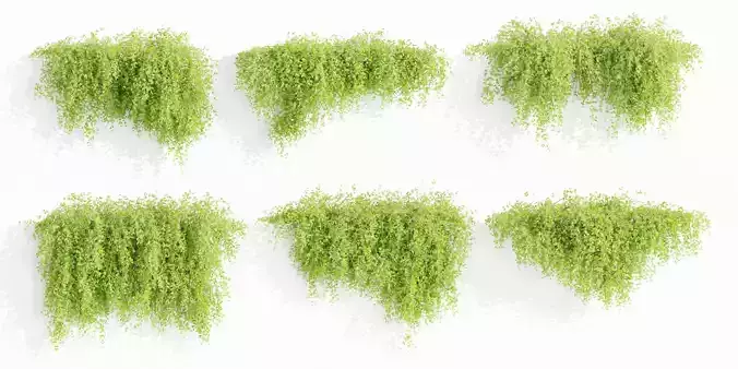 Hanging Wall Creeper Plants collection vol 225-Blender