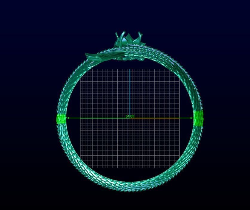 Dragon 3D print model_5