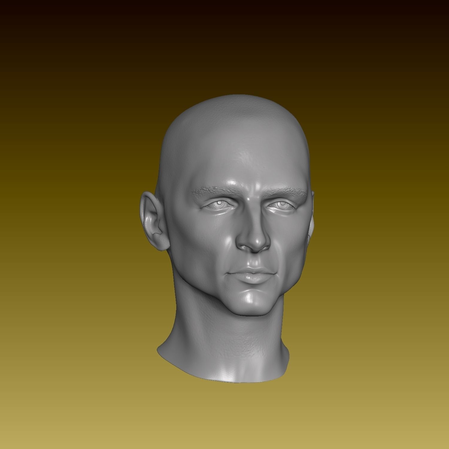 Dune Paul Atreides Timothee Chalamet Head and Bust 3D print model_5