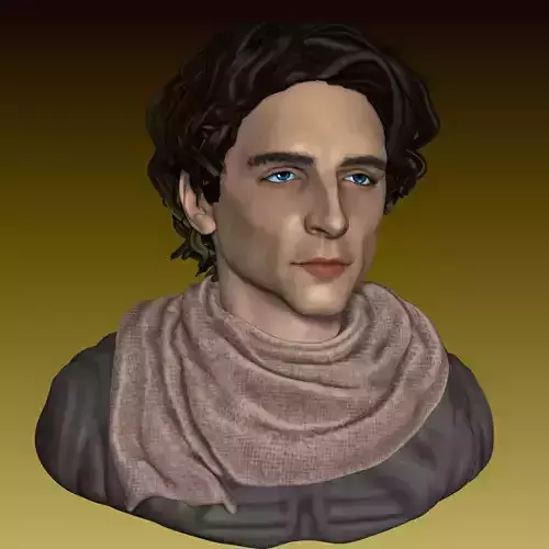 Dune Paul Atreides Timothee Chalamet Head and Bust  3D print model